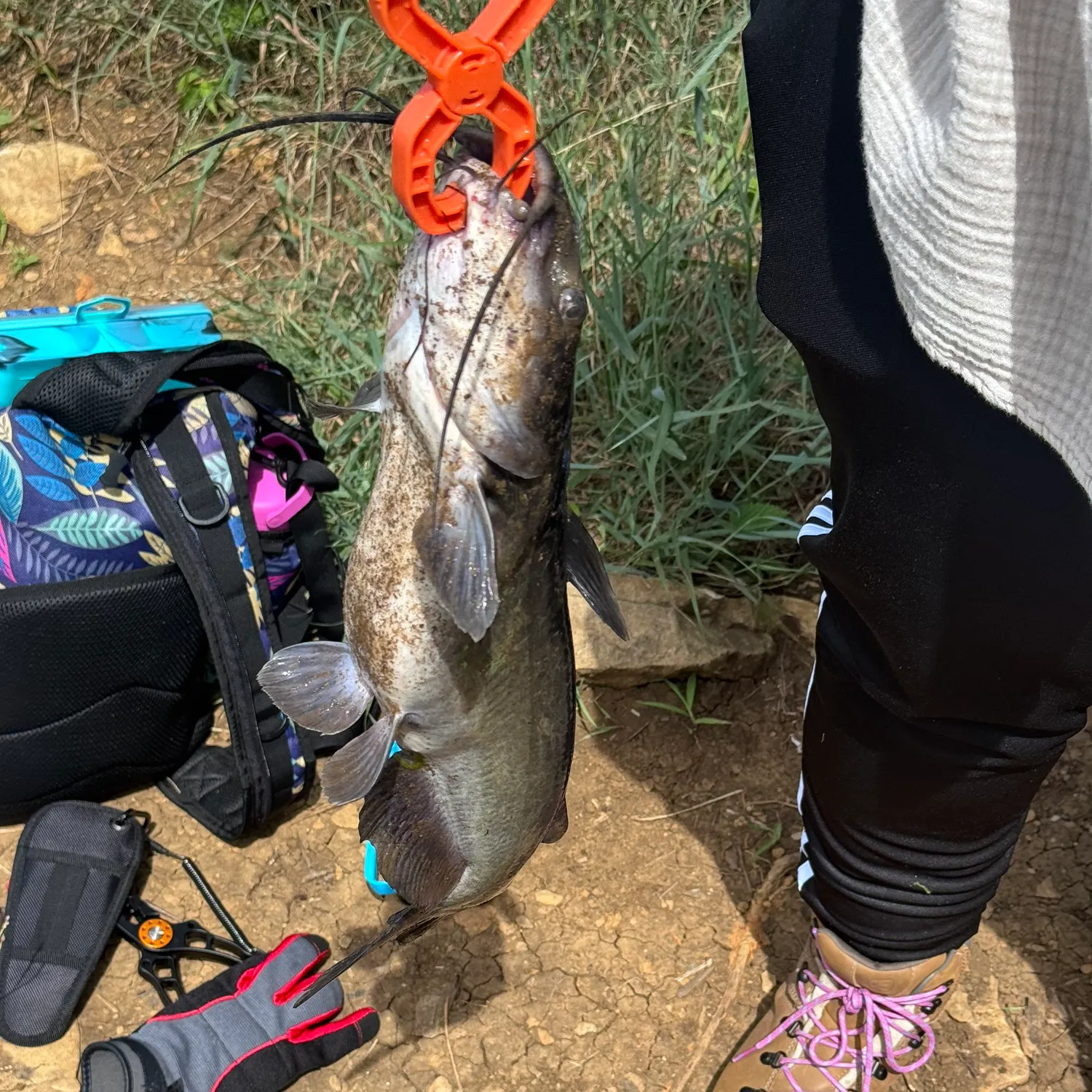 catch