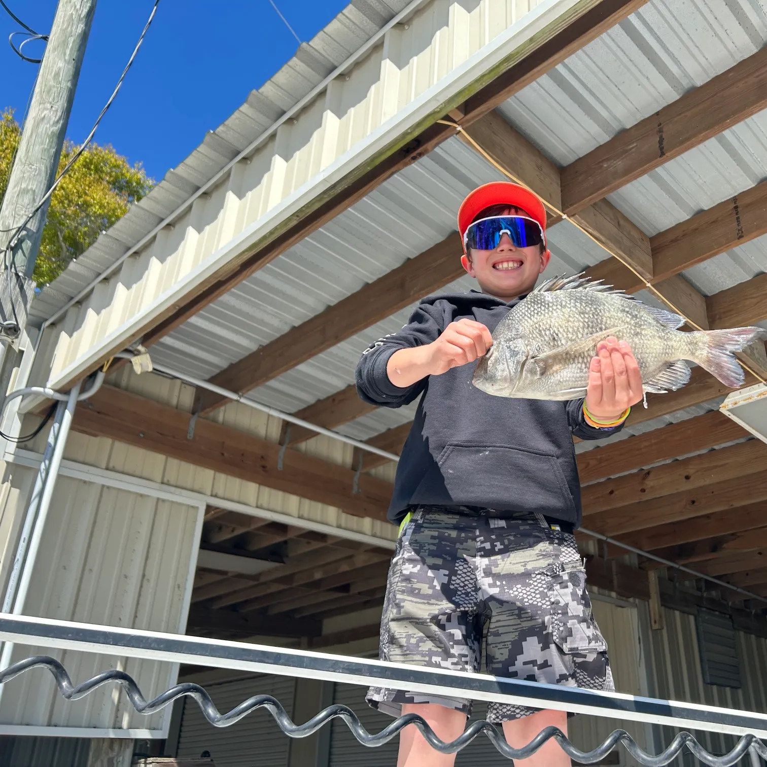 The most recent Sheepshead catches on Fishbrain