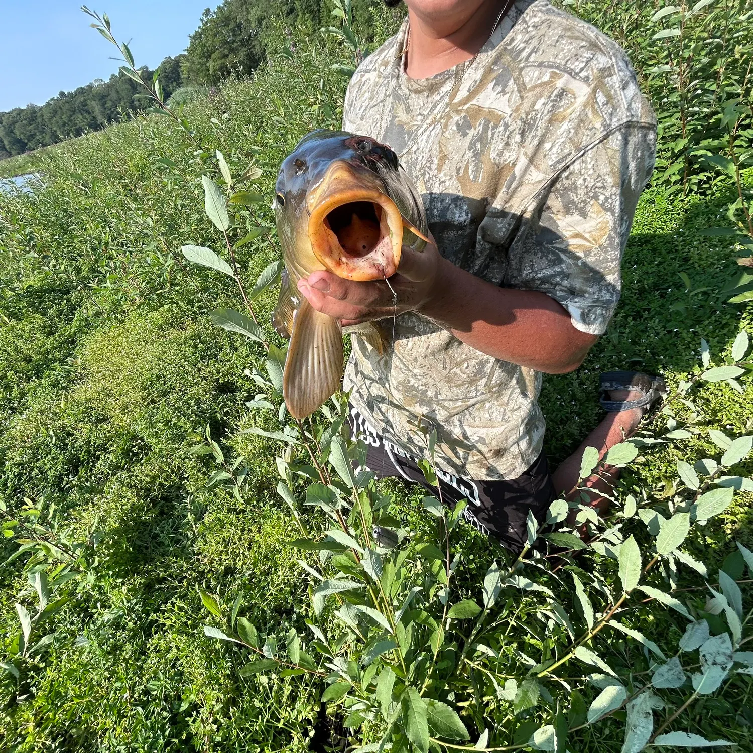 catch