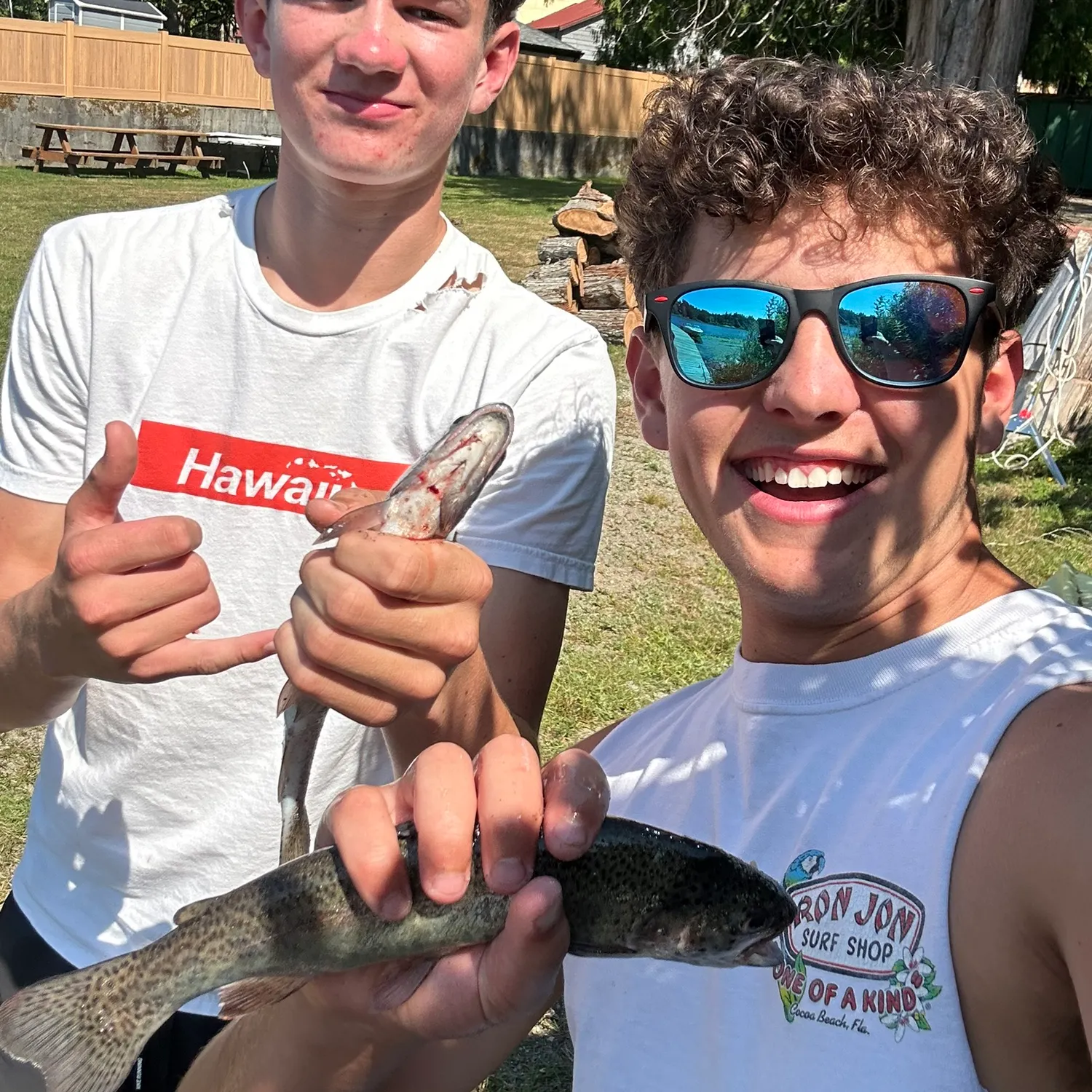 Rainbow trout caught on Fishbrain