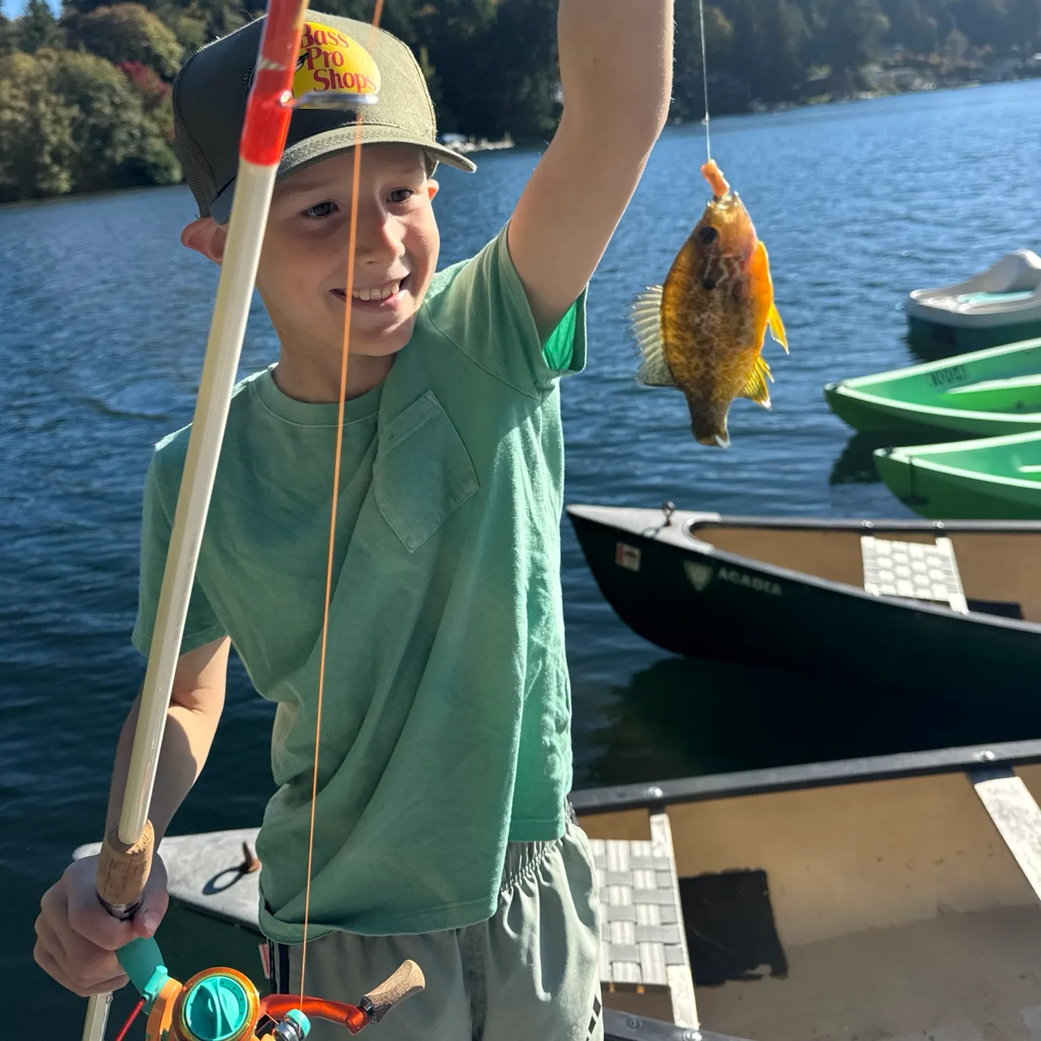 Pumpkinseed caught on Fishbrain
