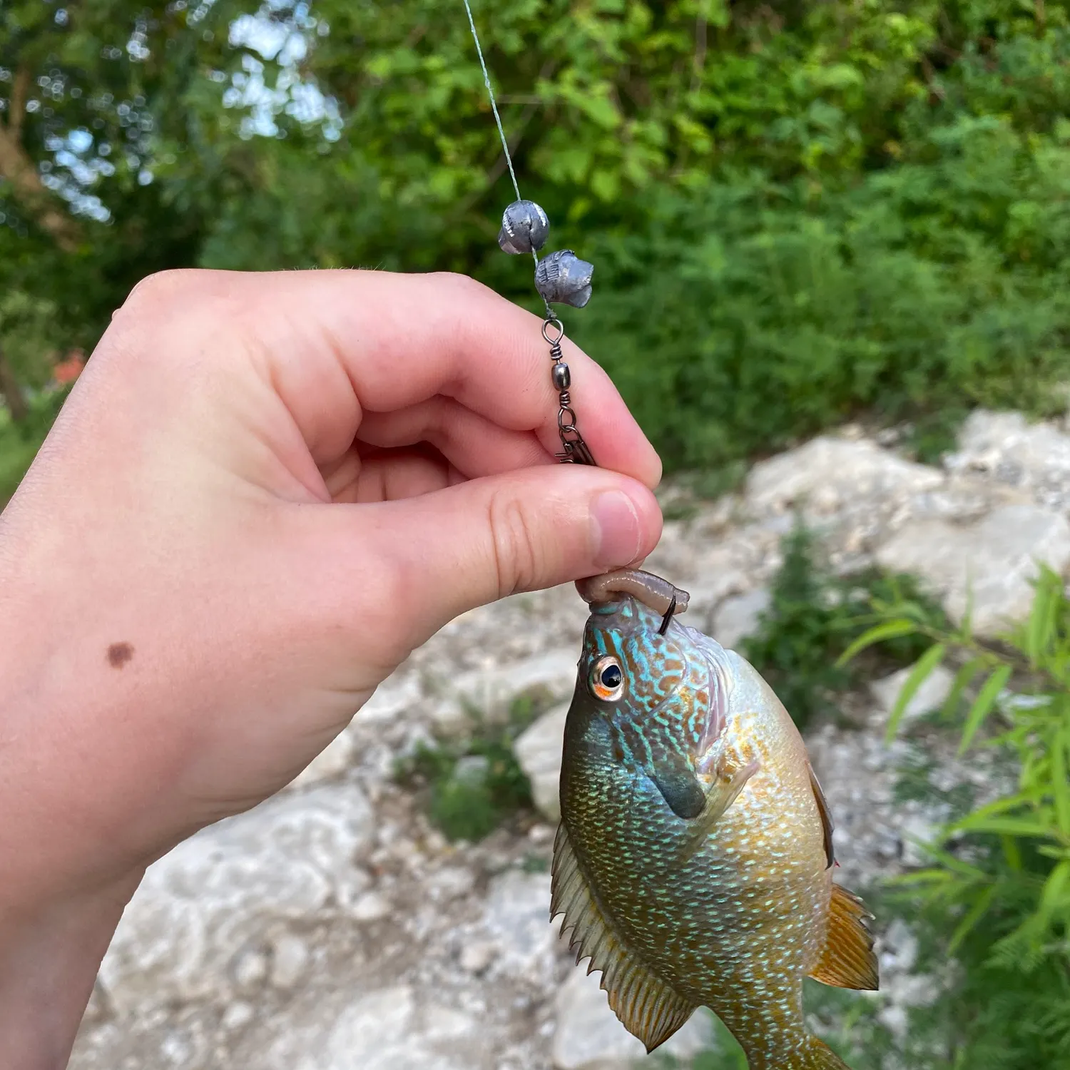 catch