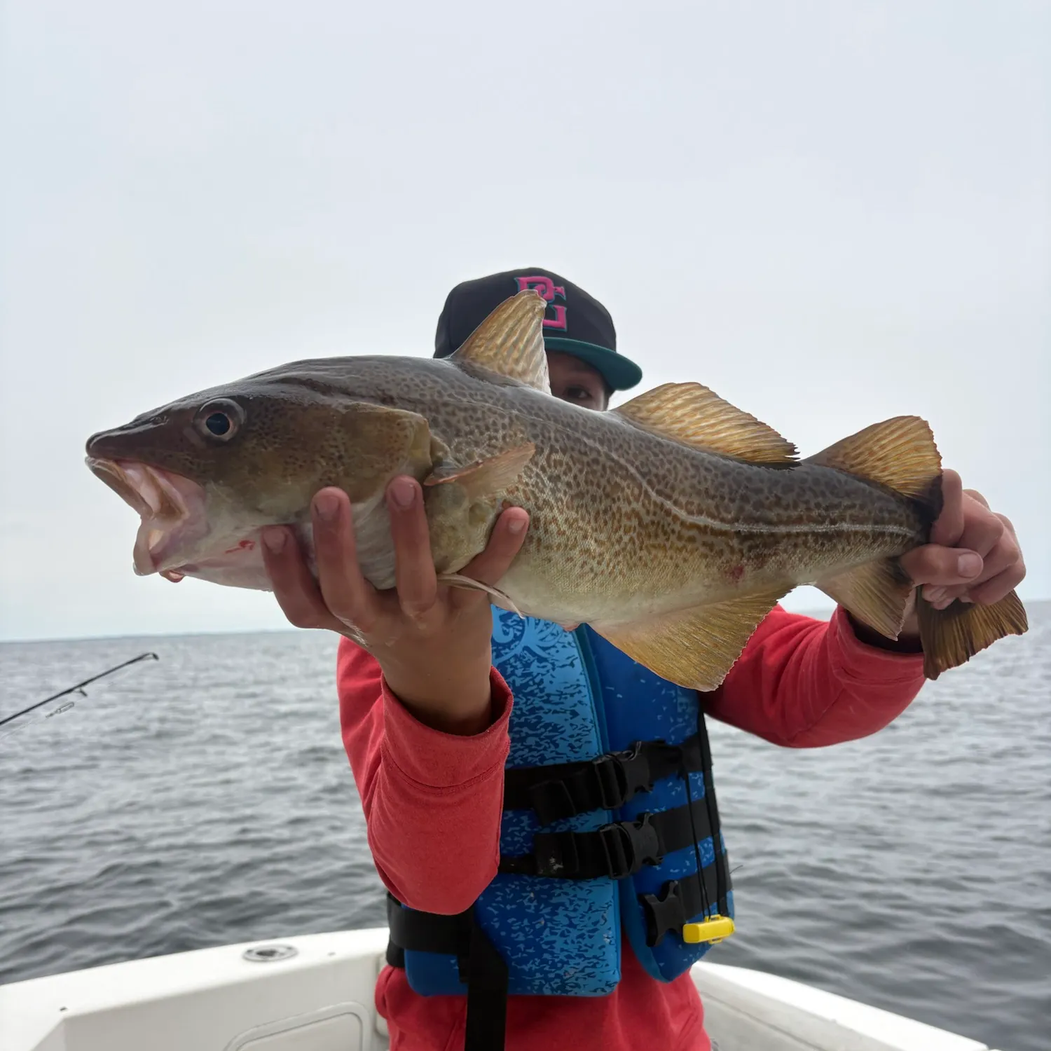 The most recent Atlantic cod catches on Fishbrain