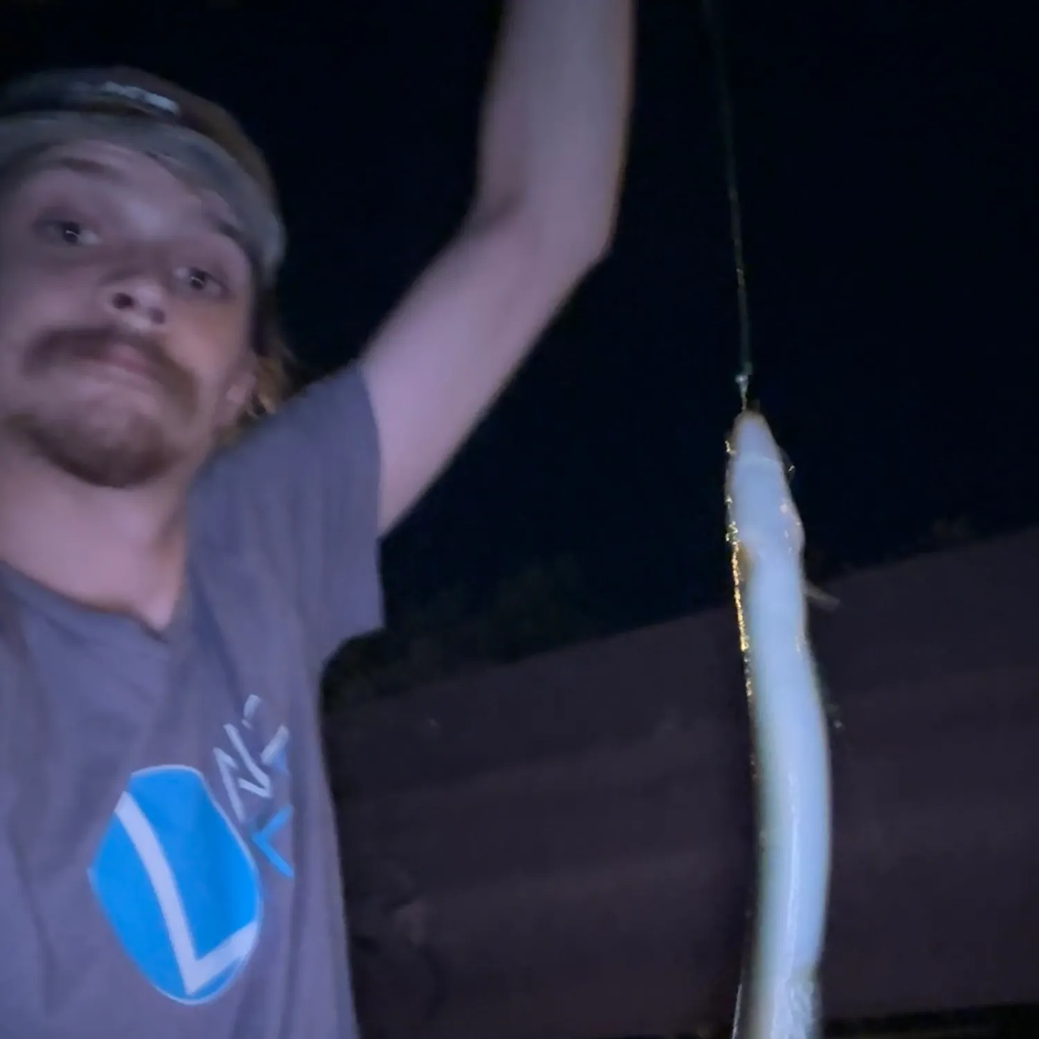 American eel caught on Fishbrain