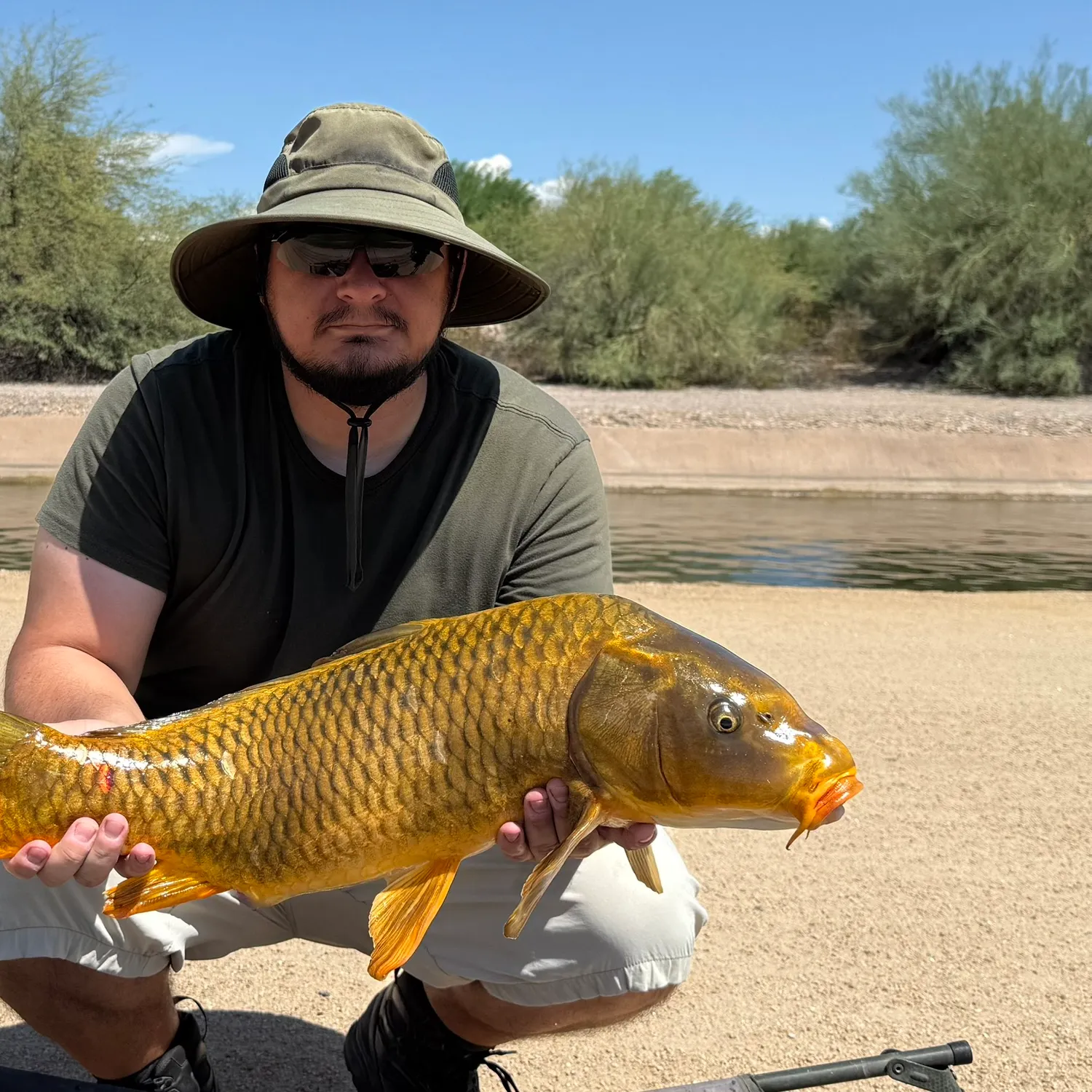 The most recent Ghost carp catches on Fishbrain