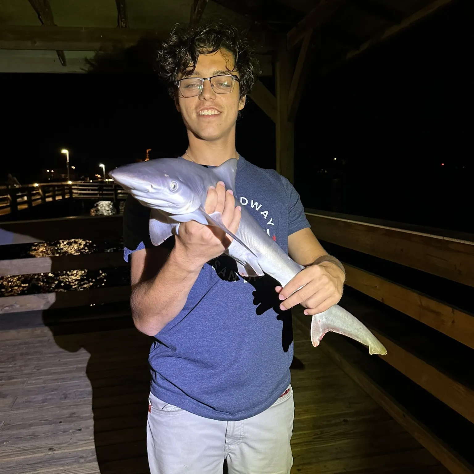 The most recent Spinner shark catches on Fishbrain