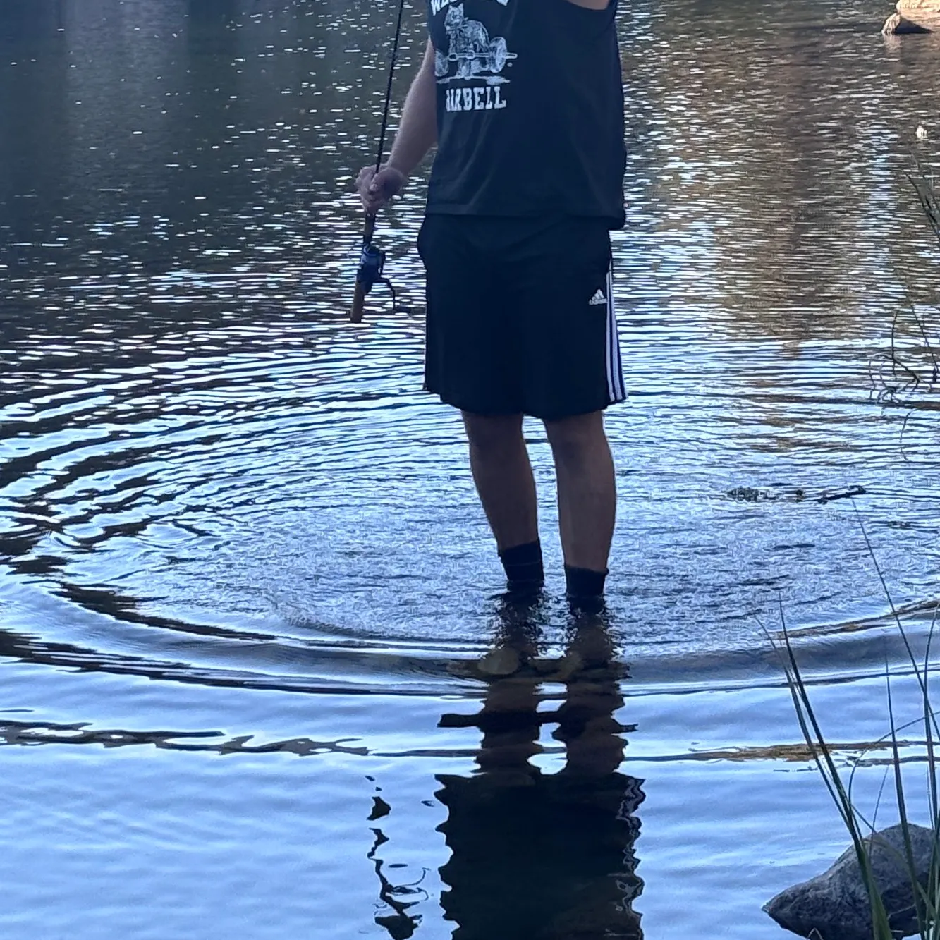 Brook trout caught on Fishbrain