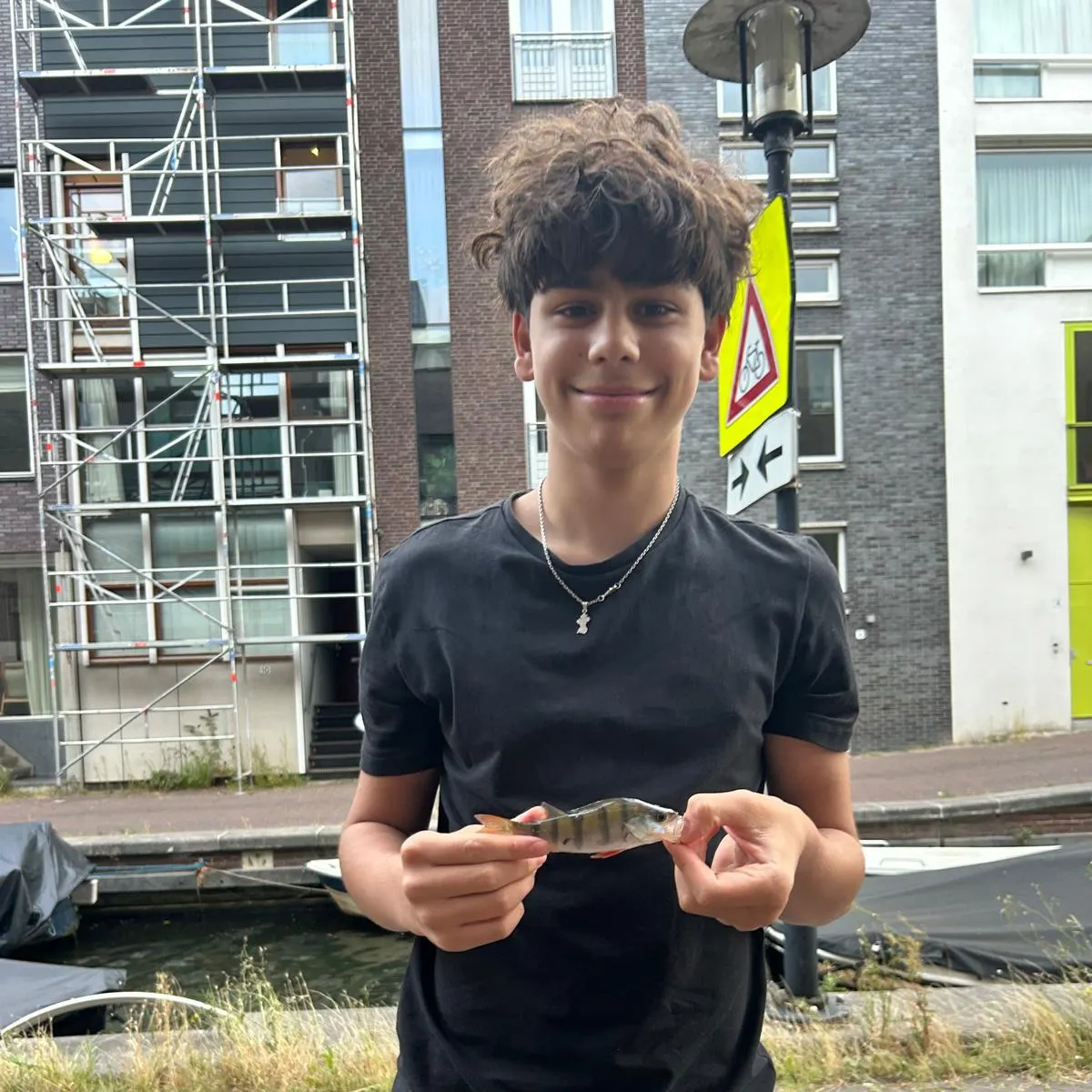 European perch caught on Fishbrain