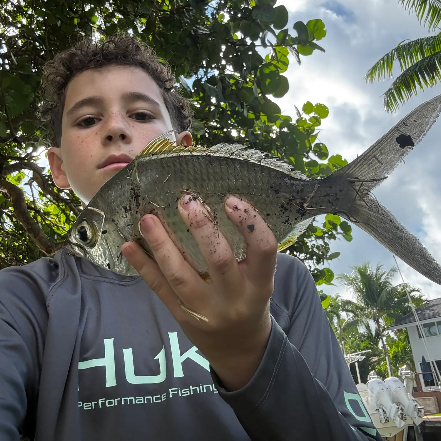 The most recent Yellowfin mojarra catches on Fishbrain