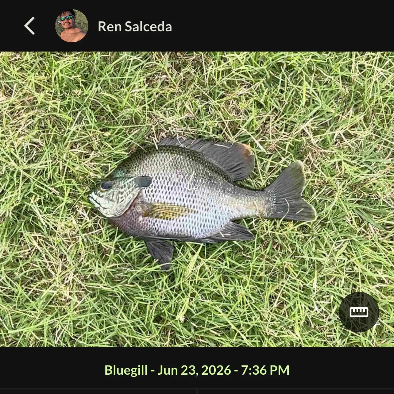 recently logged catches