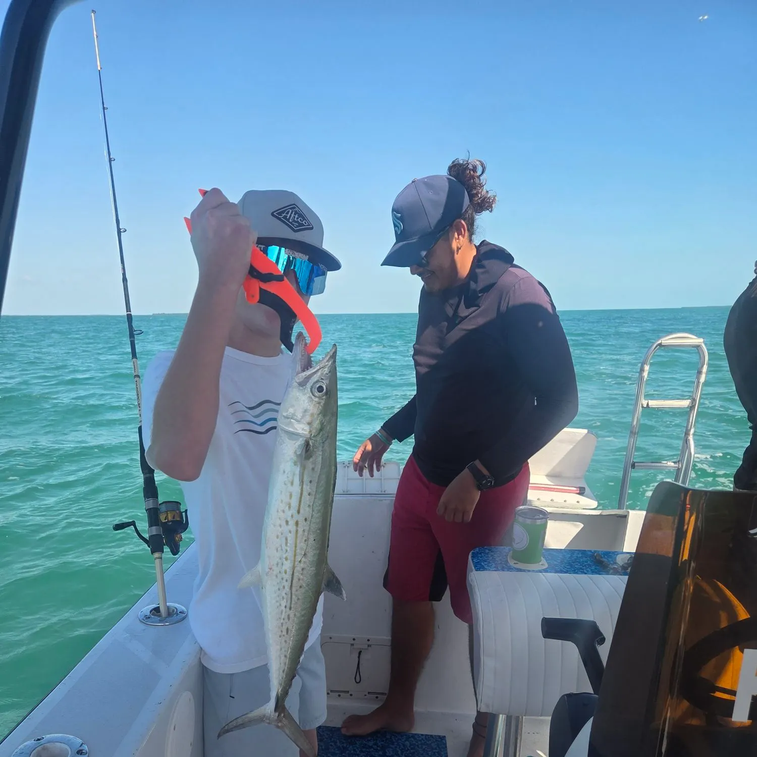 The most recent Cero mackerel catches on Fishbrain