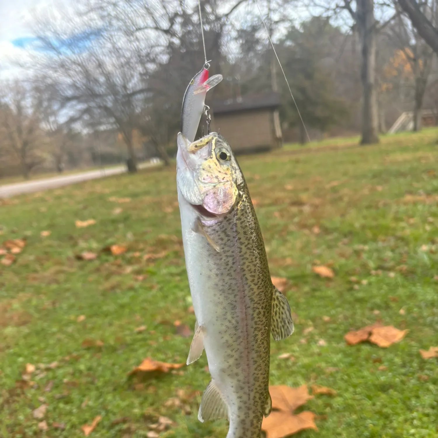 angler catch