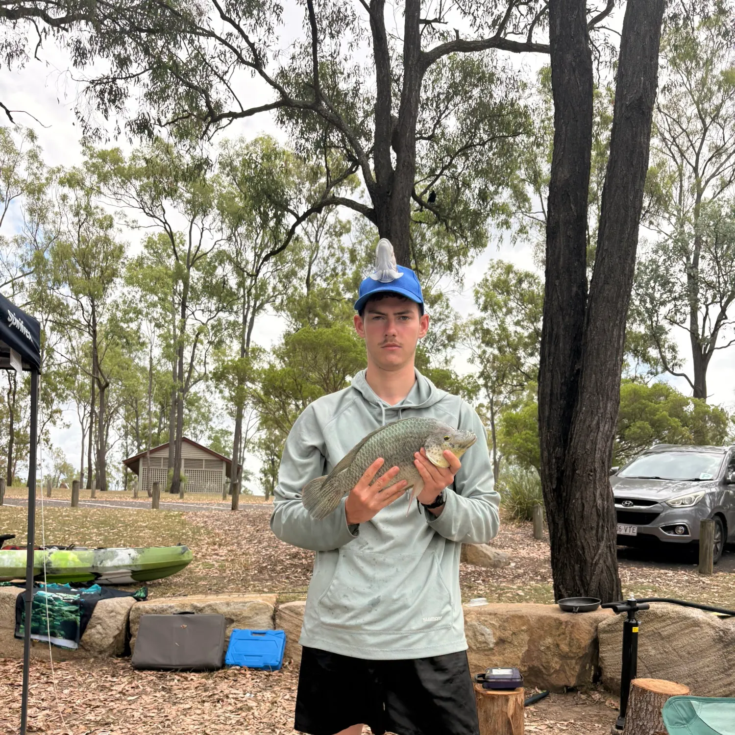 The most recent Mozambique tilapia catches on Fishbrain