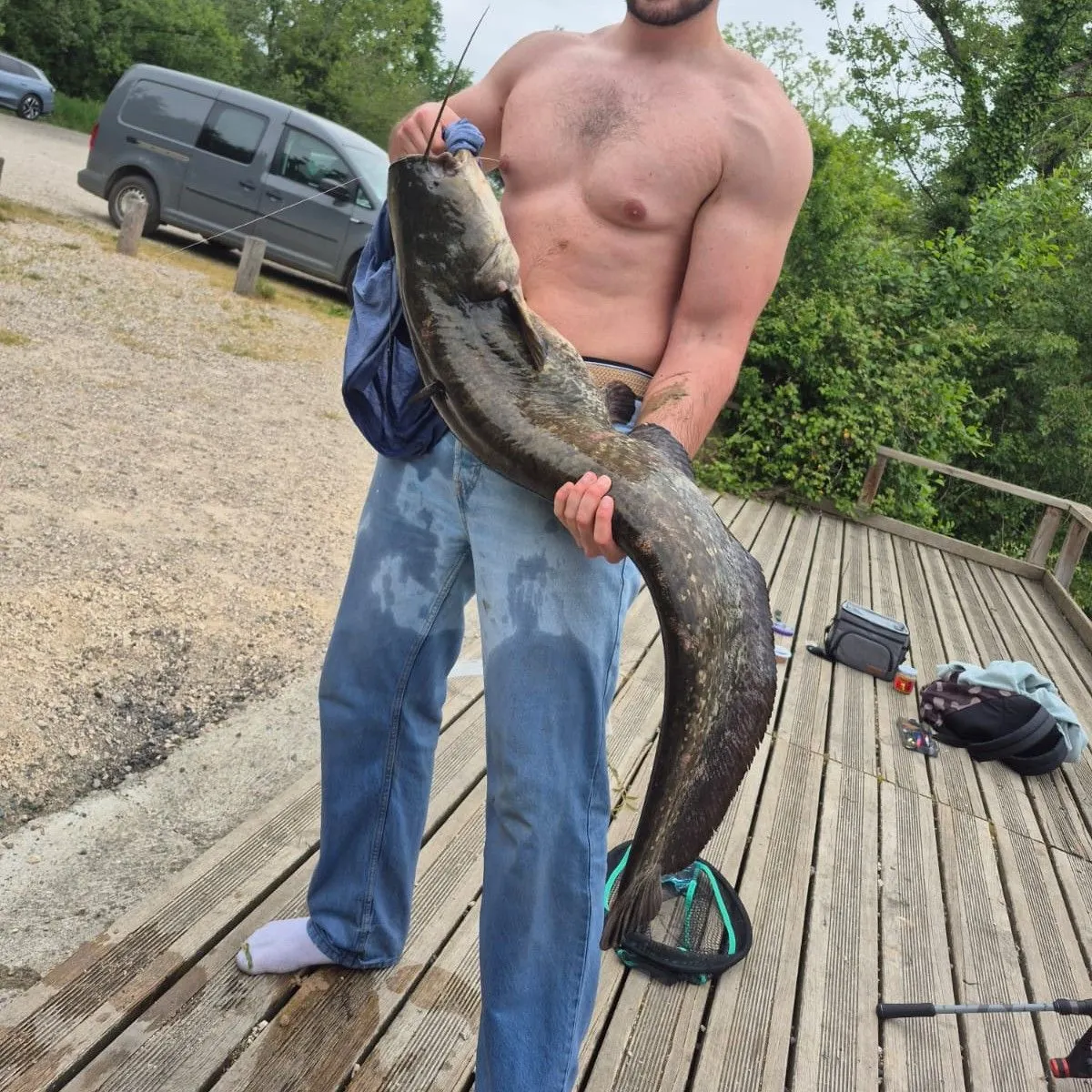 The most recent Wels catfish catches on Fishbrain