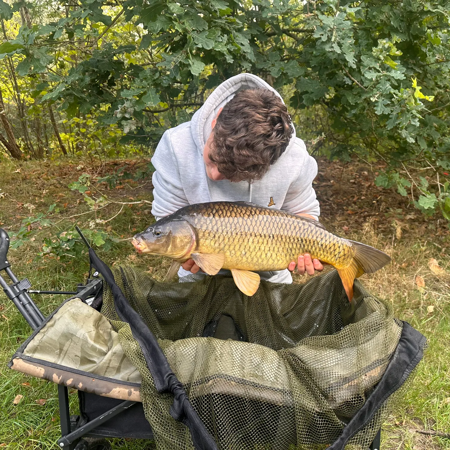Common carp caught on Fishbrain