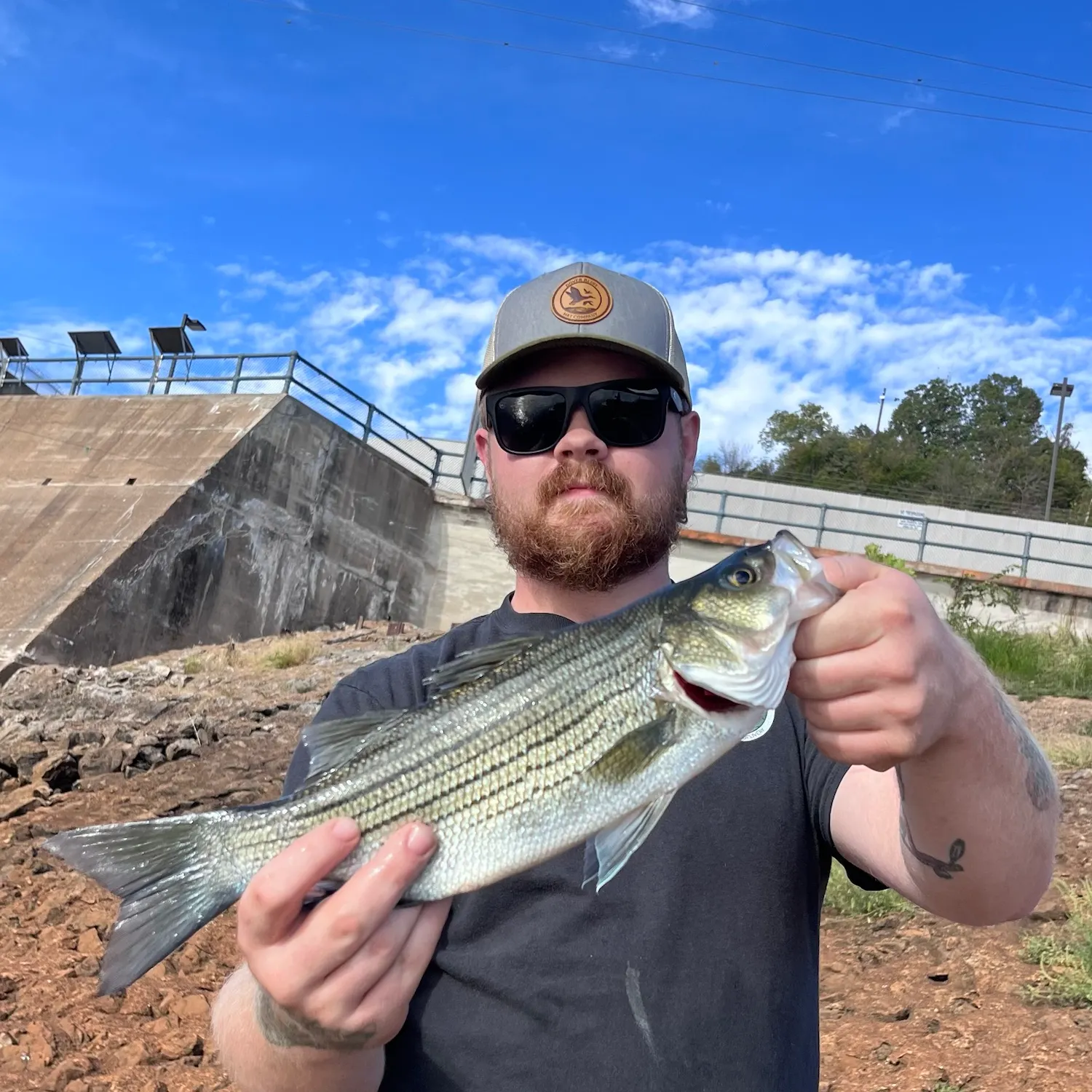 Wiper caught on Fishbrain