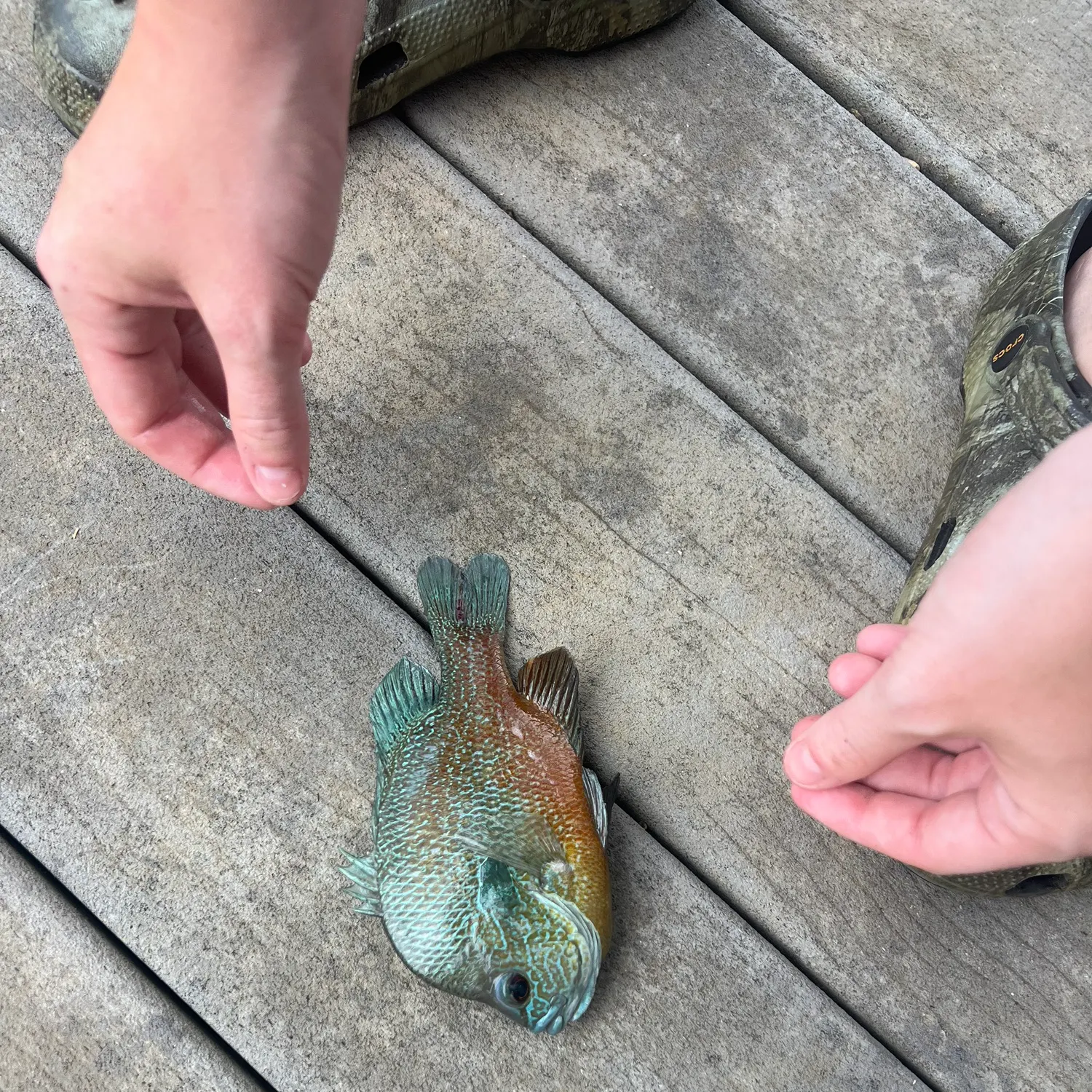 catch