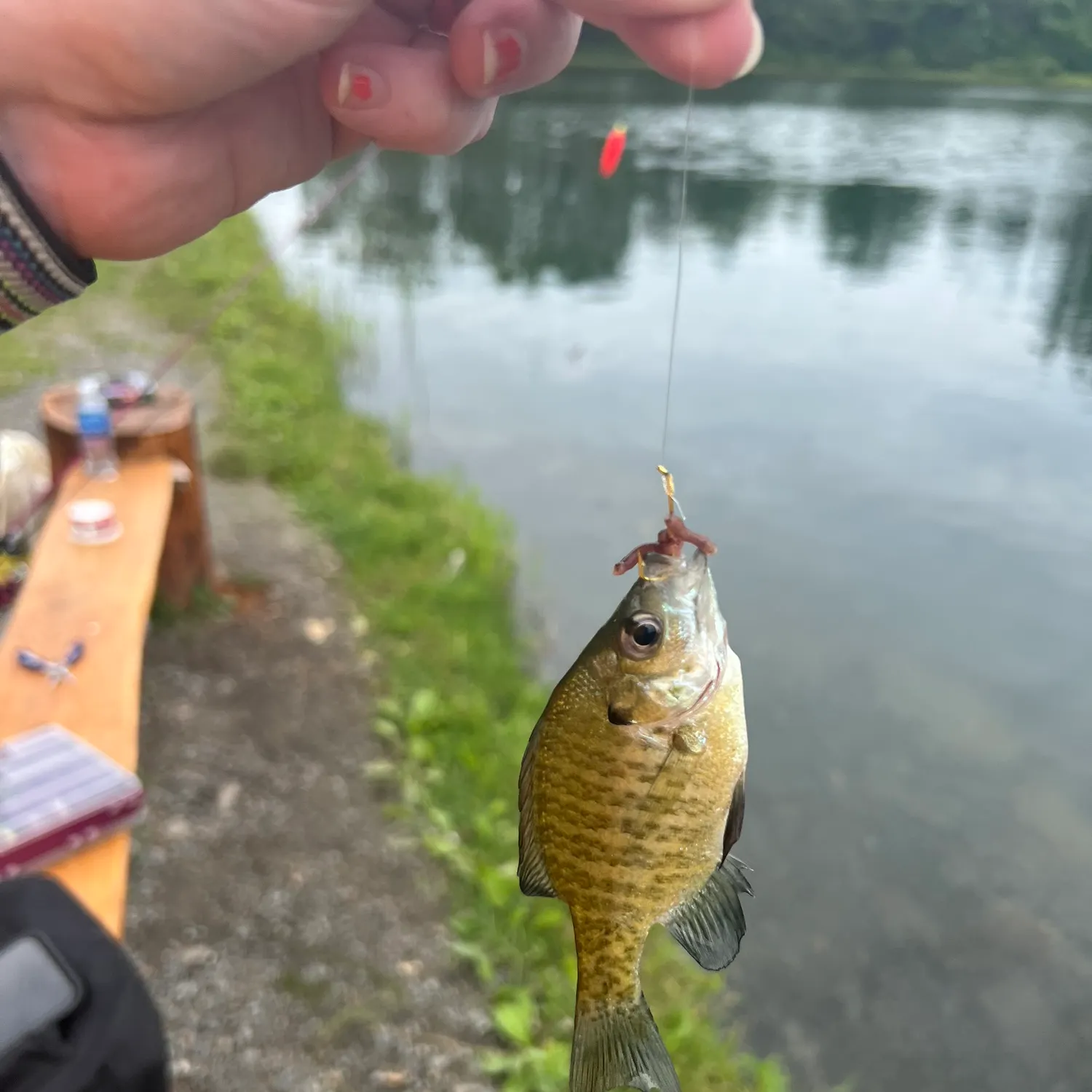 catch