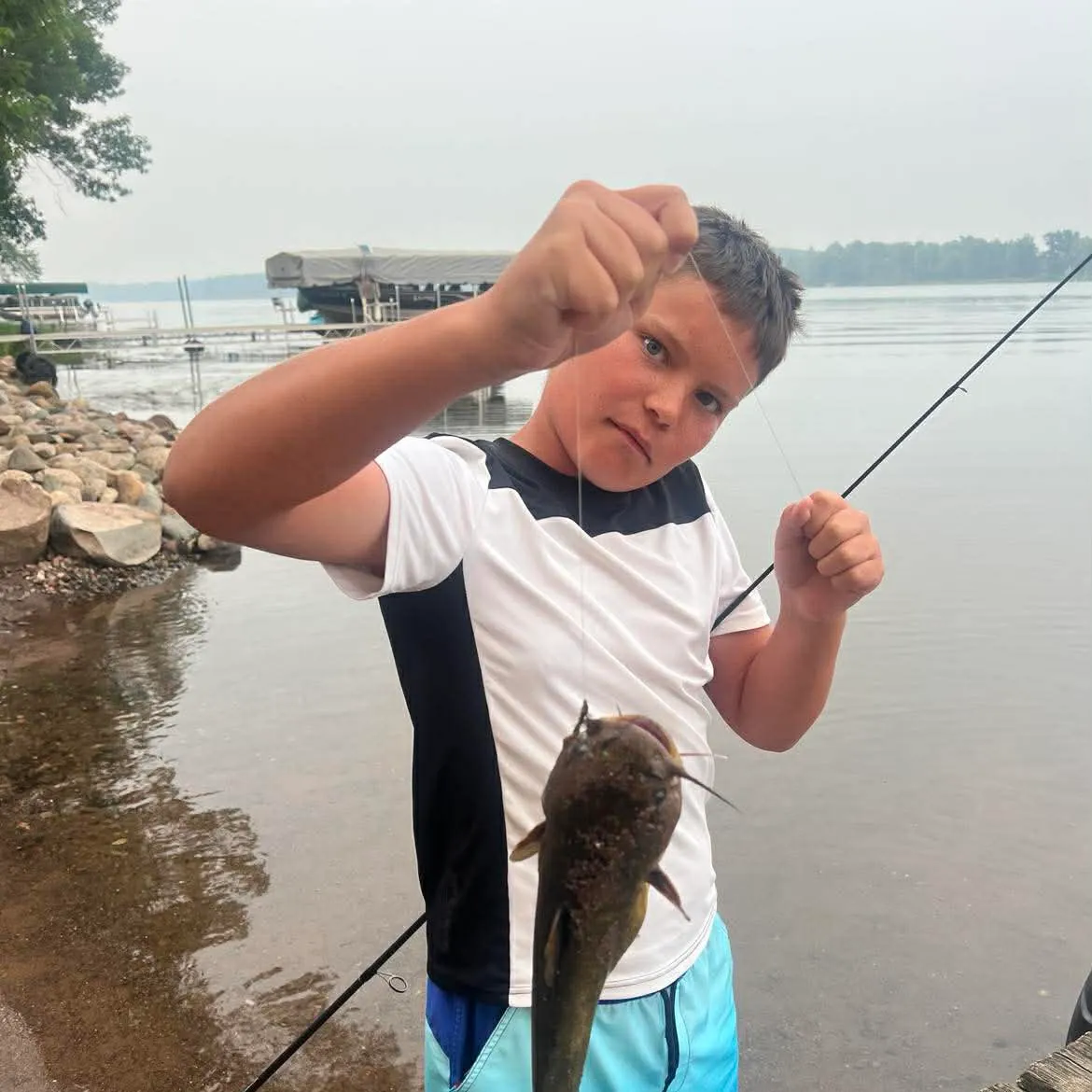 Brown bullhead caught on Fishbrain