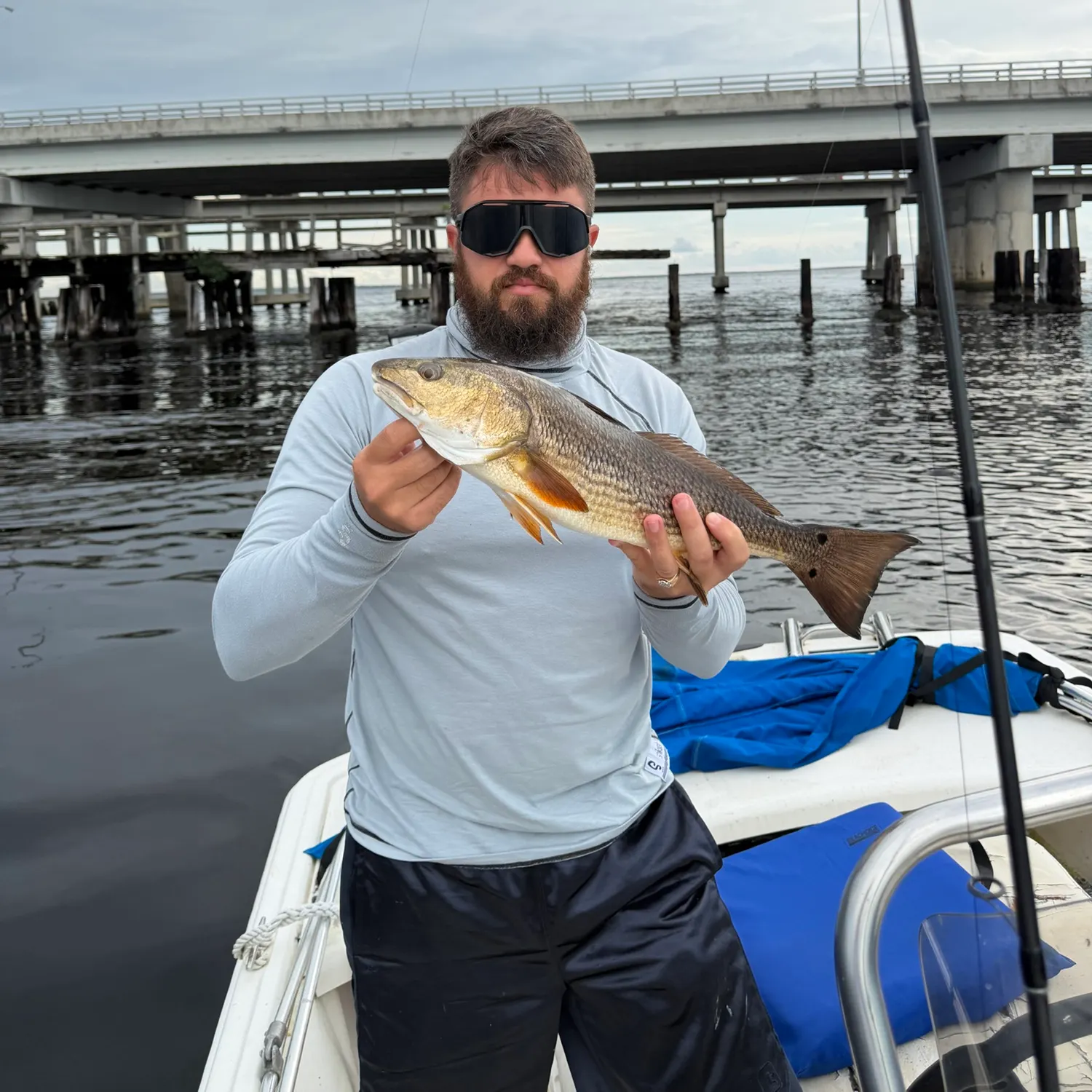 Red drum caught on Fishbrain