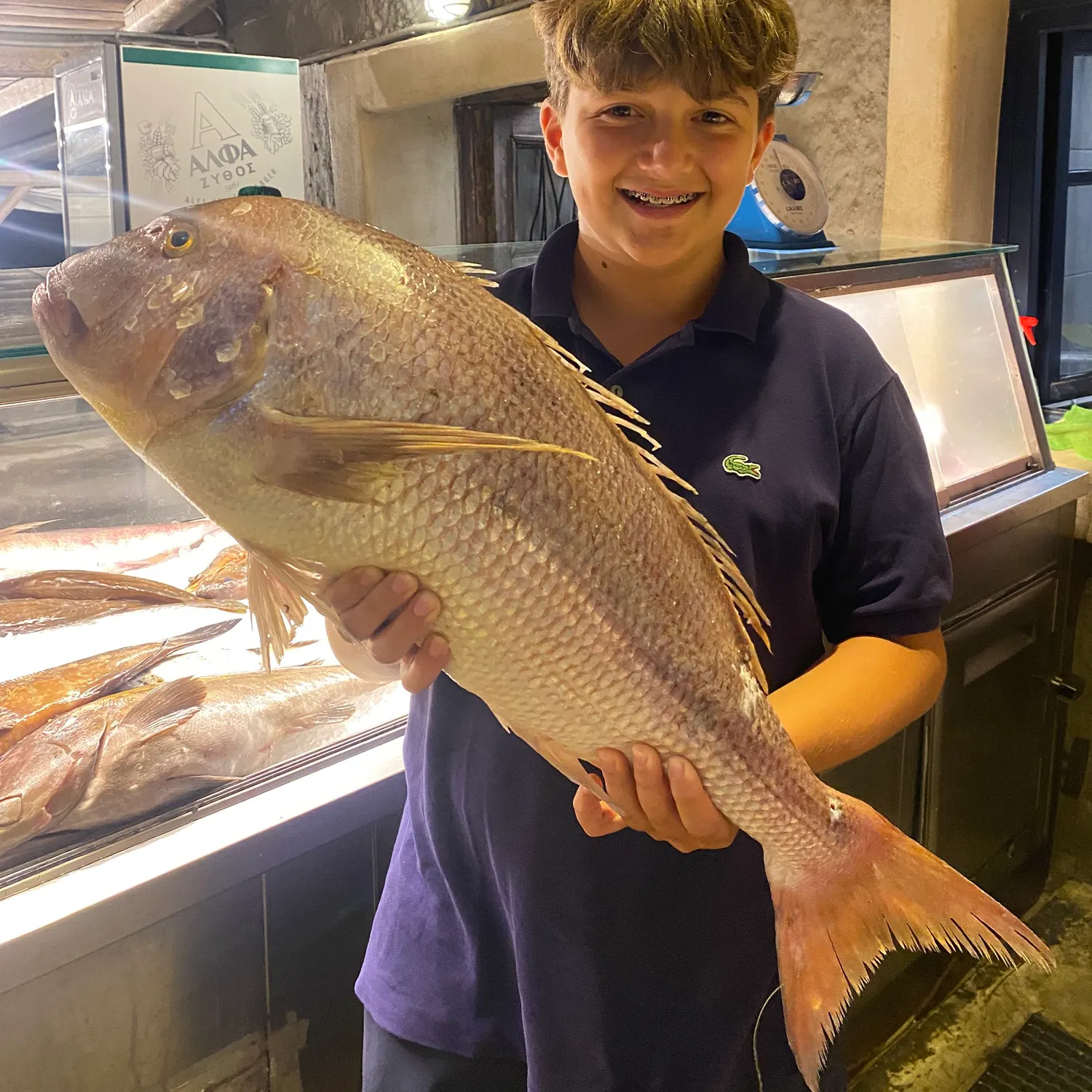 The most recent Common dentex catches on Fishbrain