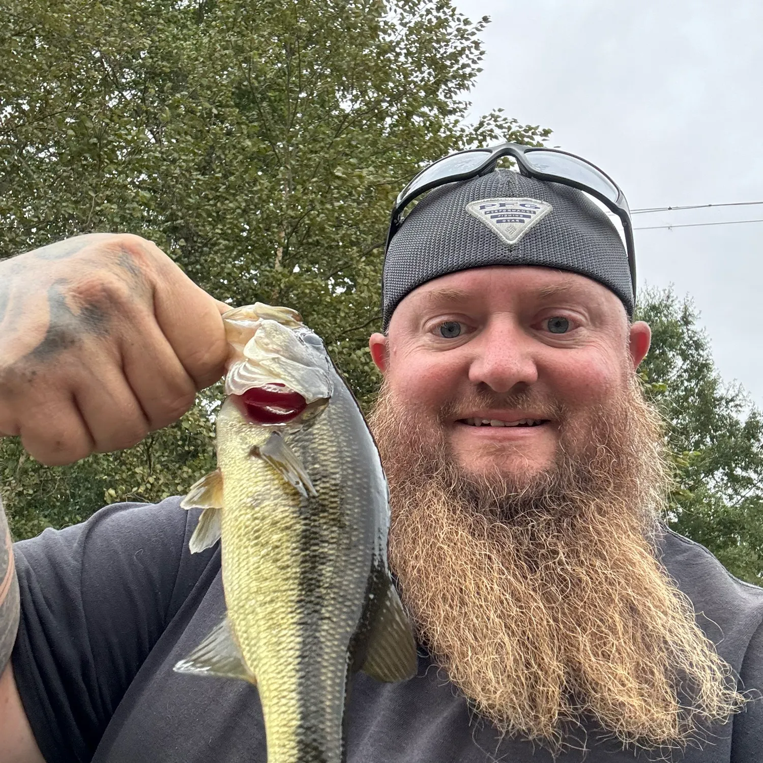 Fish caught on Fishbrain