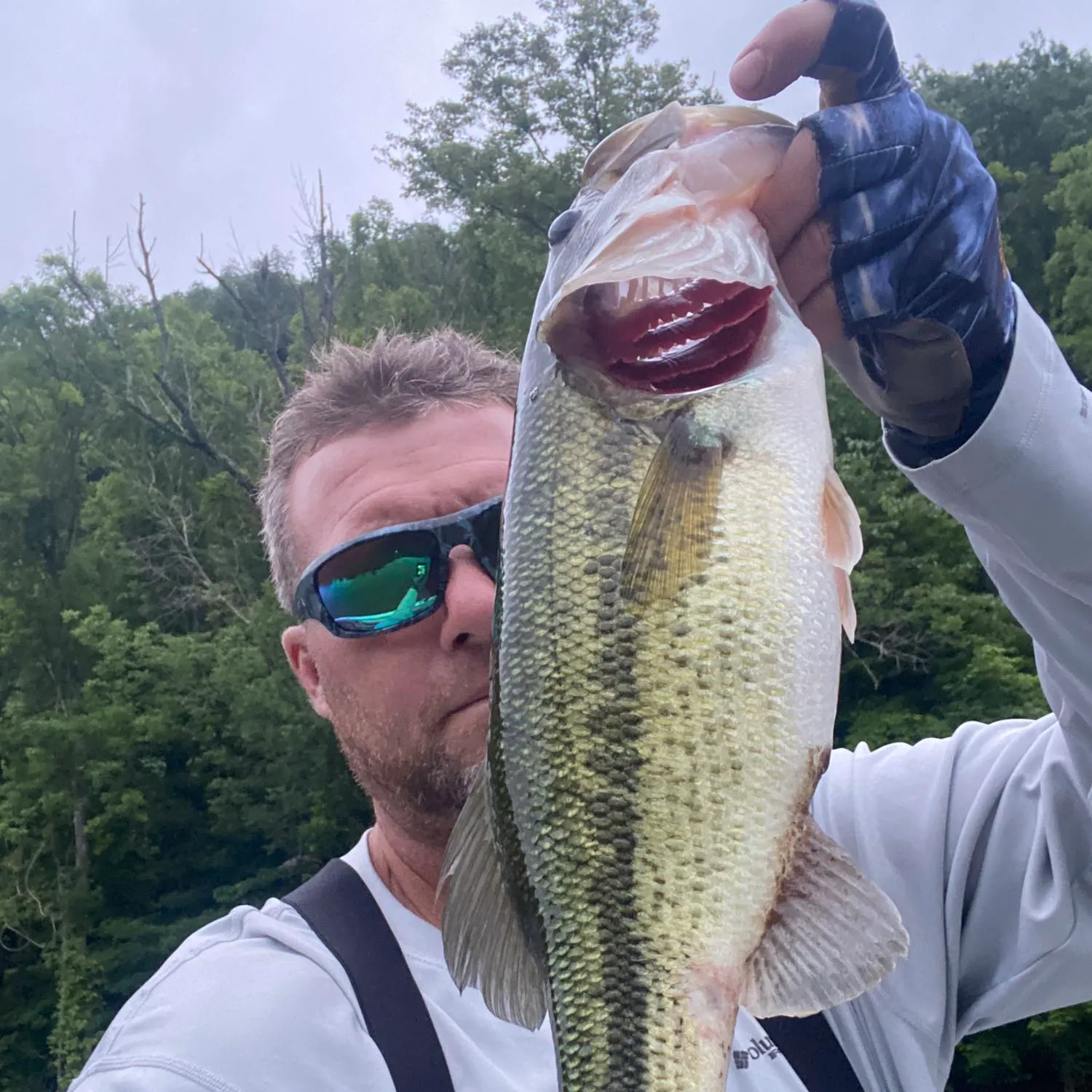 ᐅ Big Dry Run fishing reports🎣• Butler, TN (United States) fishing