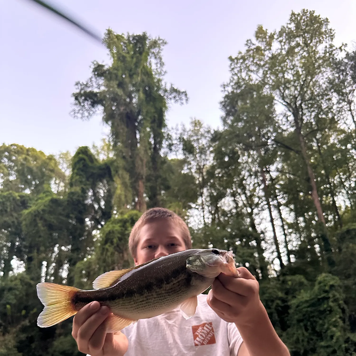 Spotted bass caught on Fishbrain
