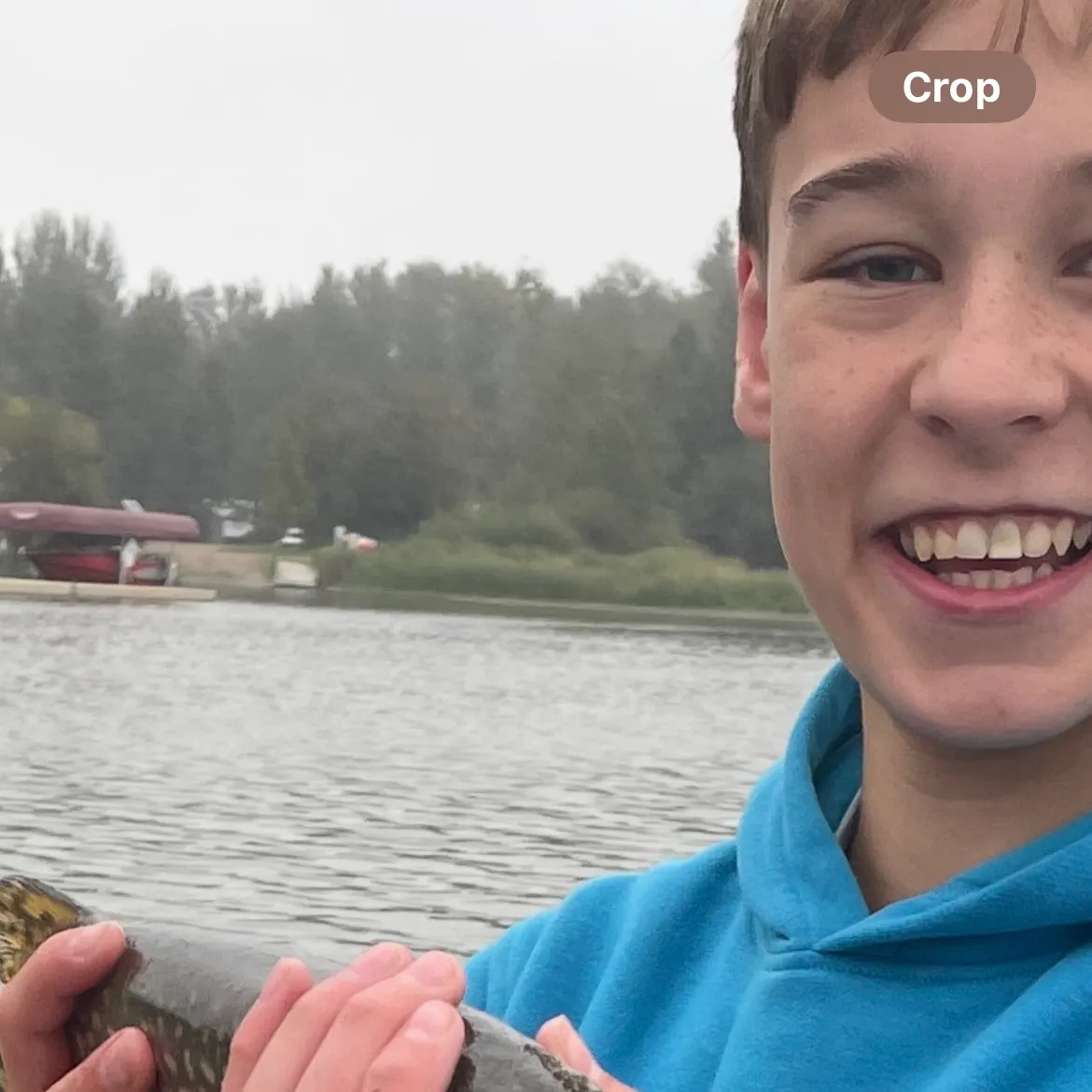 Northern pike caught on Fishbrain