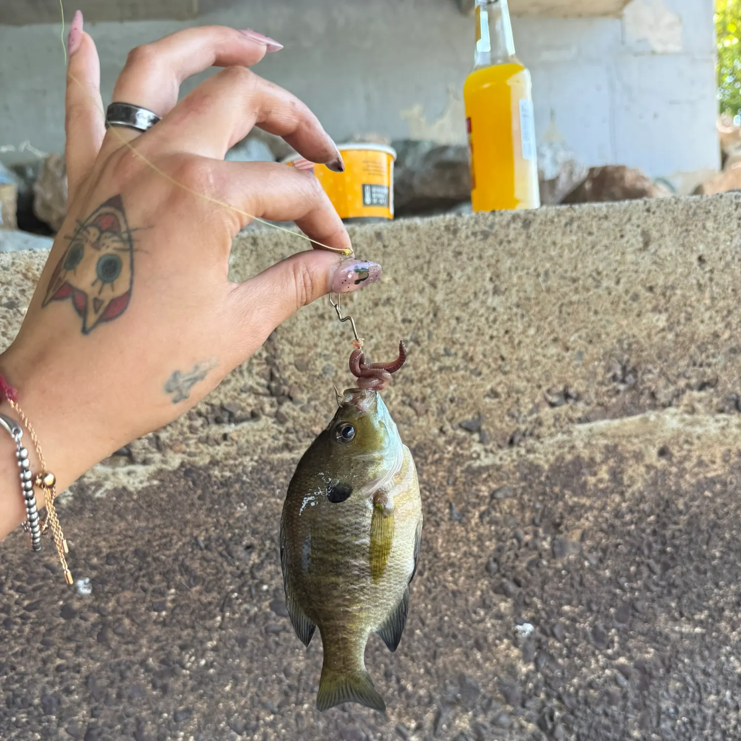 catch