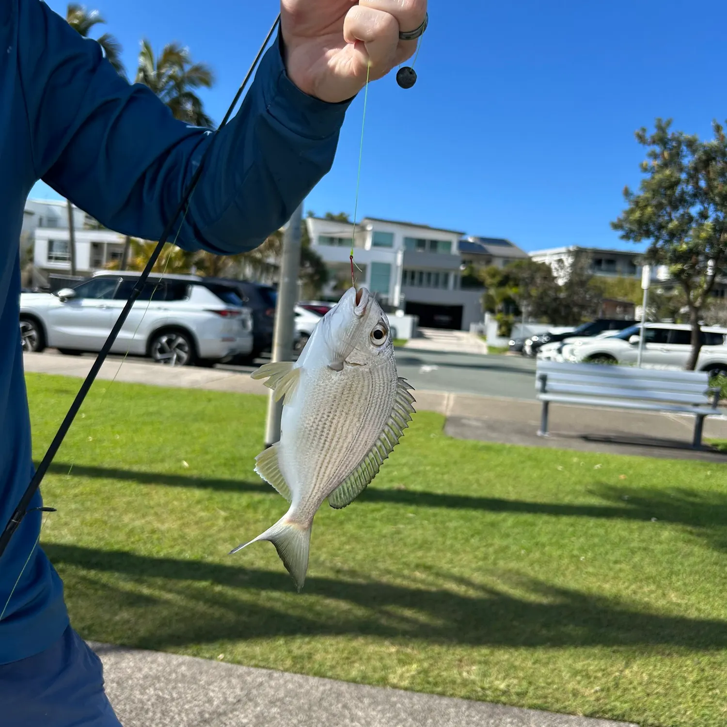 catch