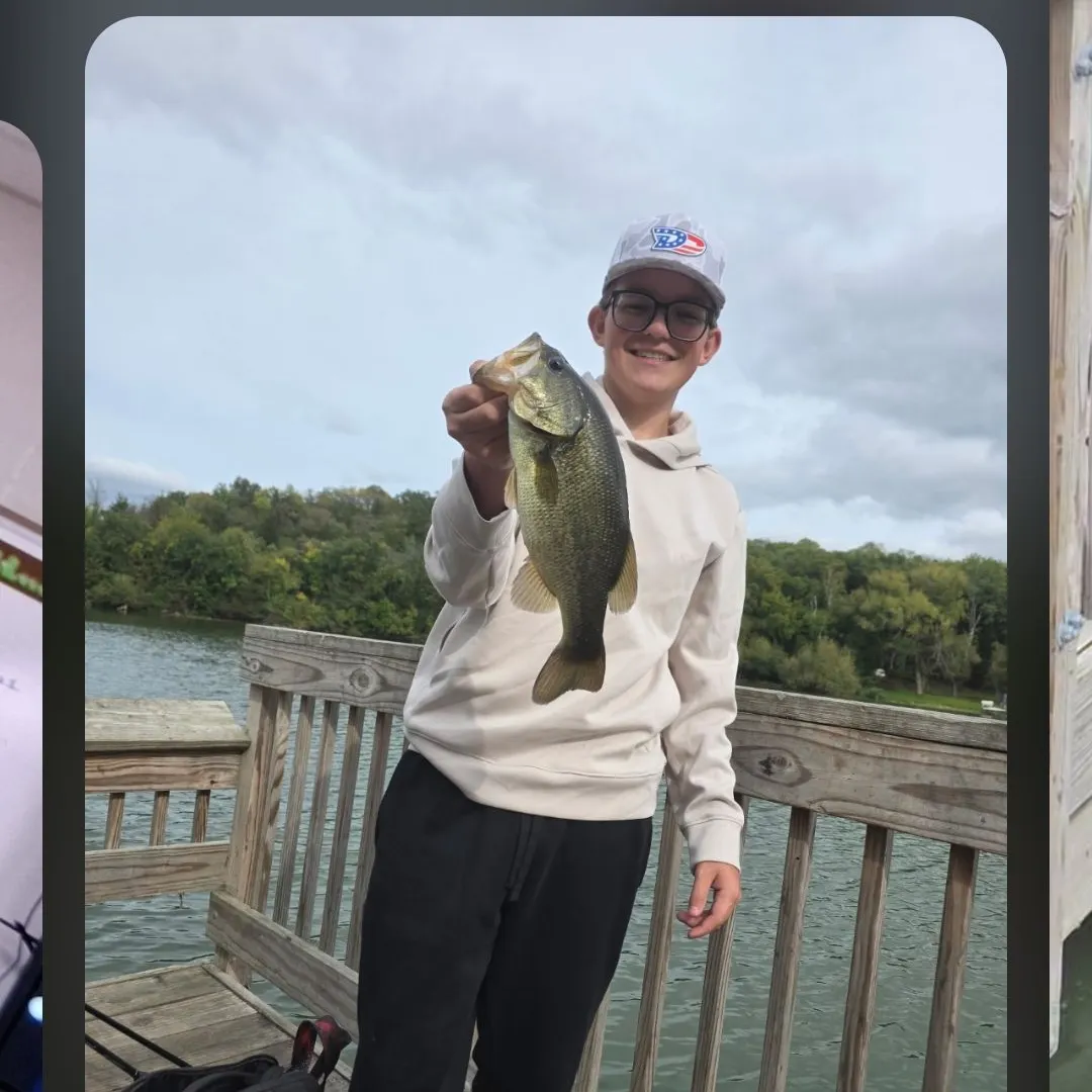 Fish caught on Fishbrain
