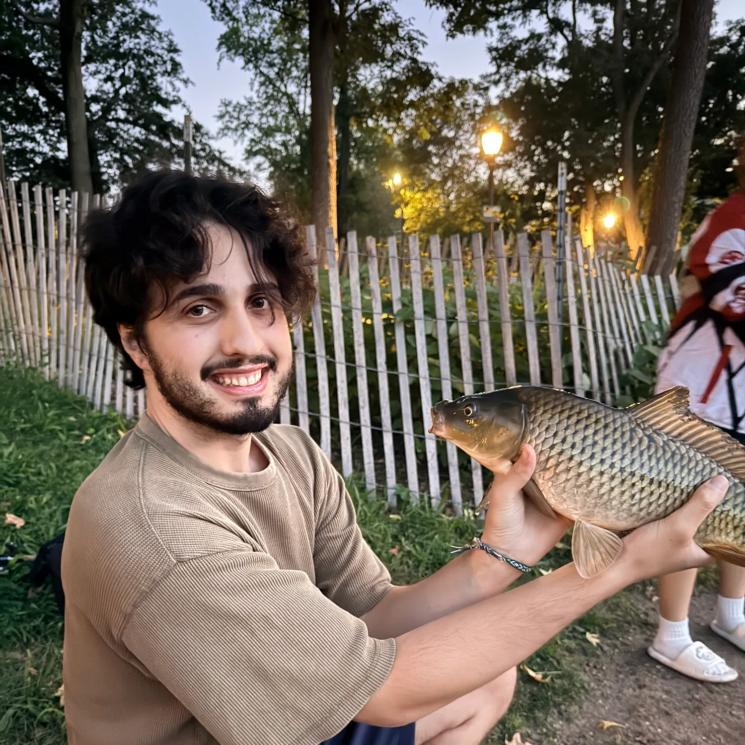 Common carp caught on Fishbrain