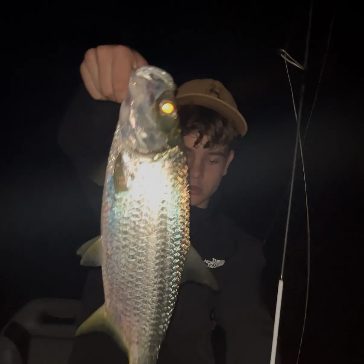 Indo-Pacific tarpon caught on Fishbrain