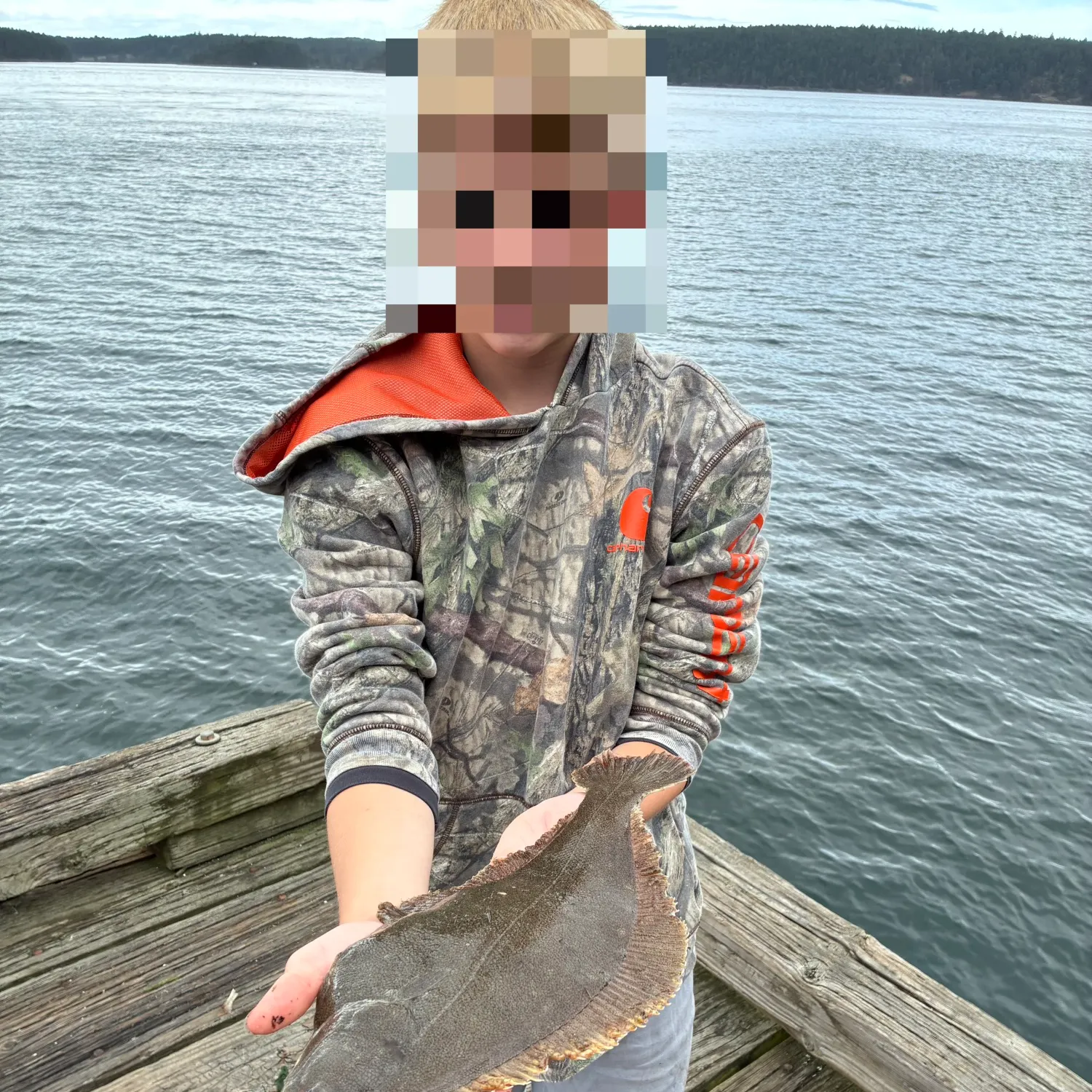 The most recent Pacific sand sole catches on Fishbrain