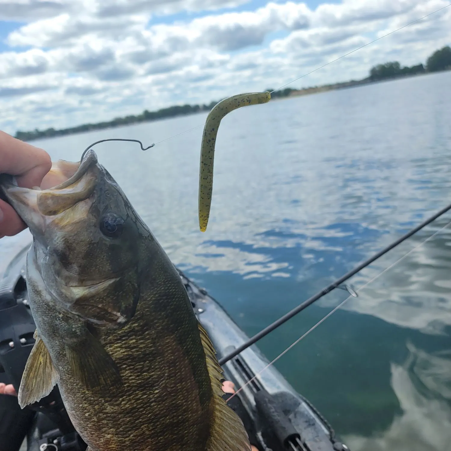 The most recent Smallmouth bass catches on Fishbrain