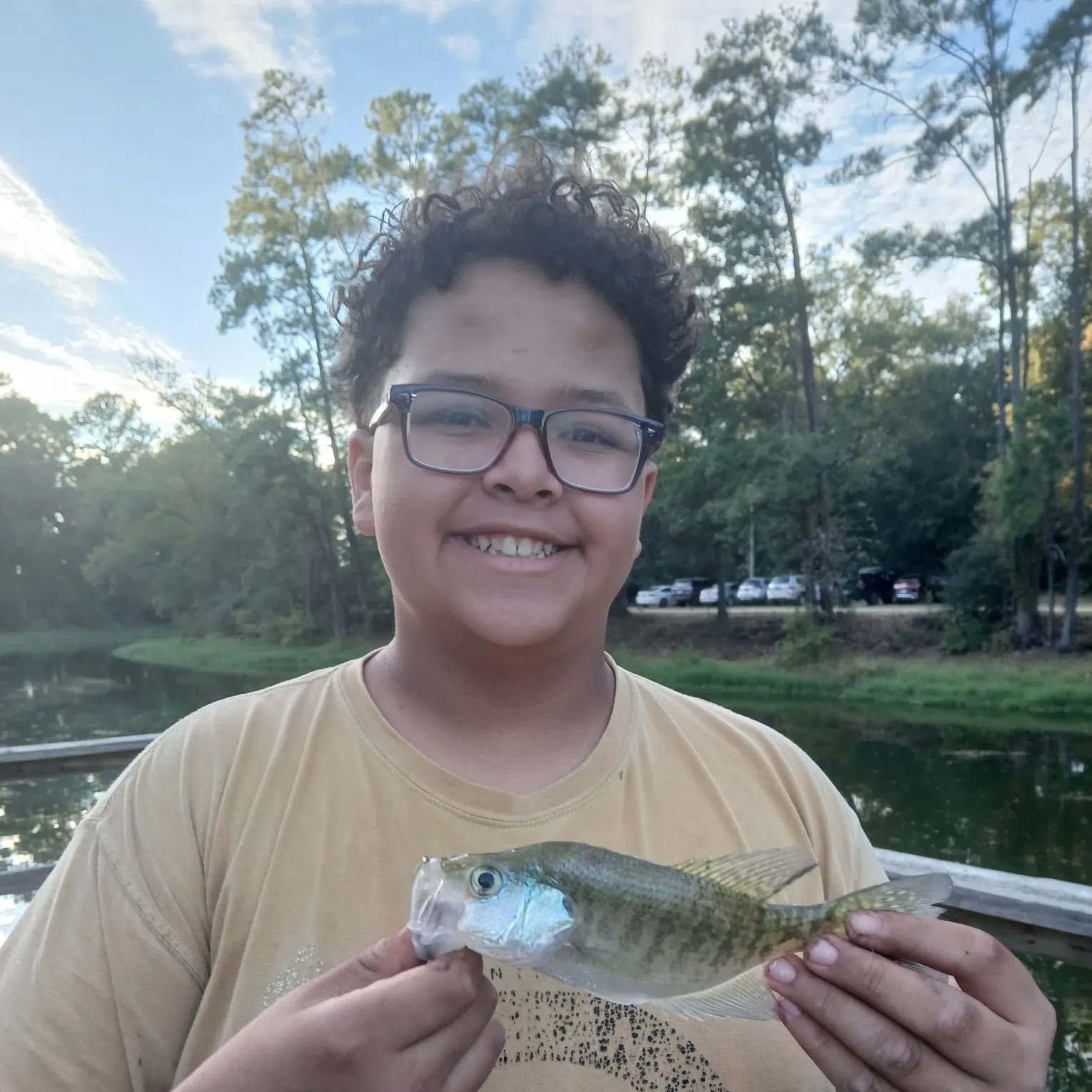 White crappie caught on Fishbrain