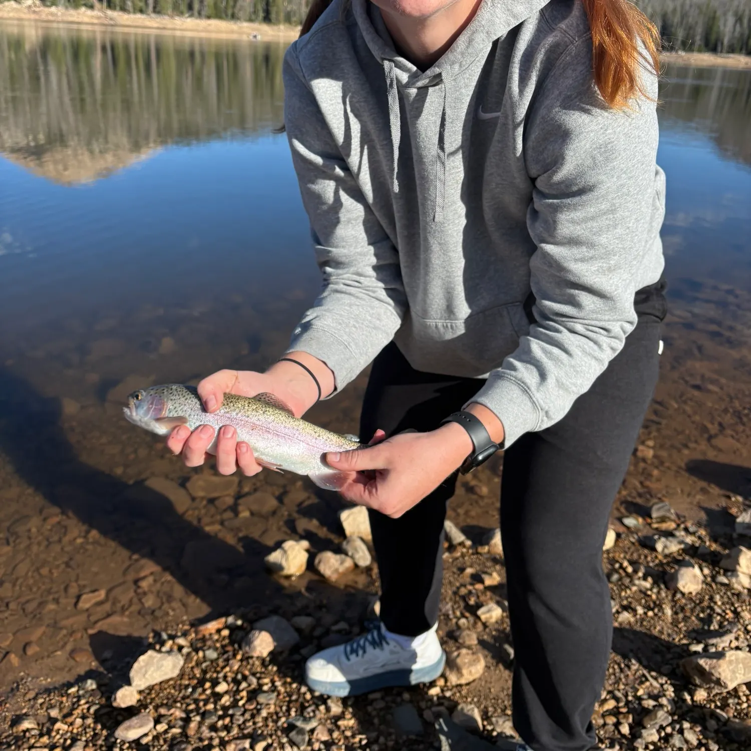 Rainbow trout caught on Fishbrain