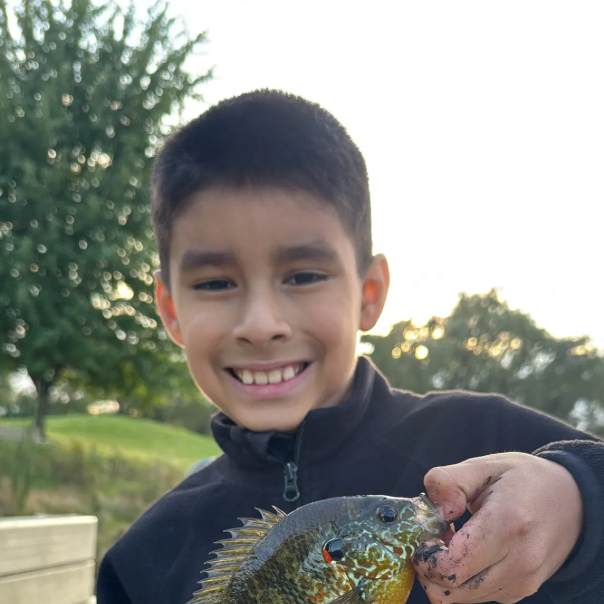 Pumpkinseed caught on Fishbrain