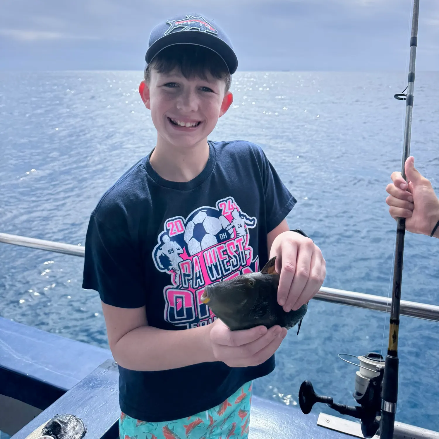 The most recent Bridled triggerfish catches on Fishbrain