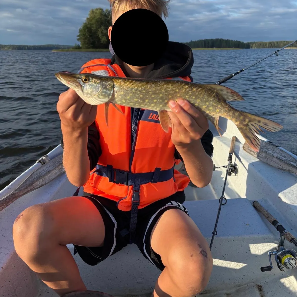 Northern pike caught on Fishbrain