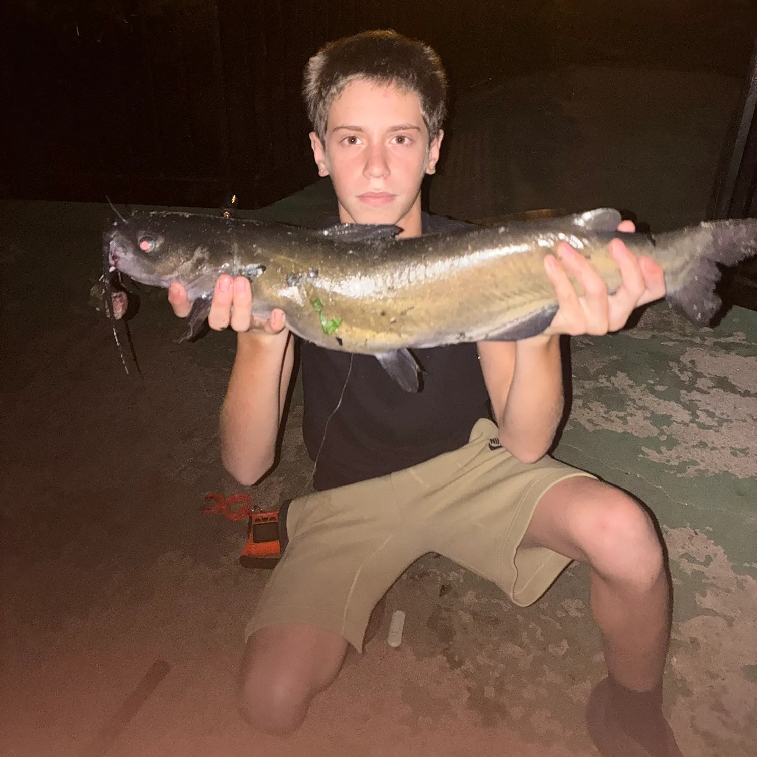 Channel catfish caught on Fishbrain