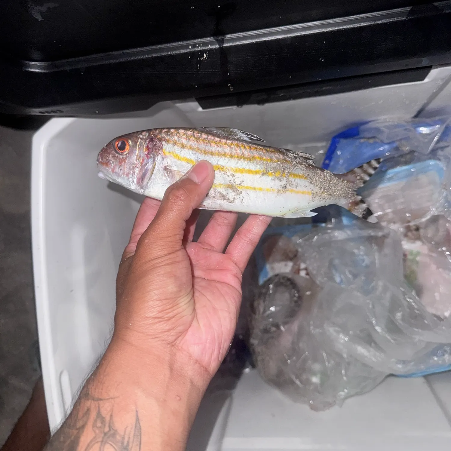 catch