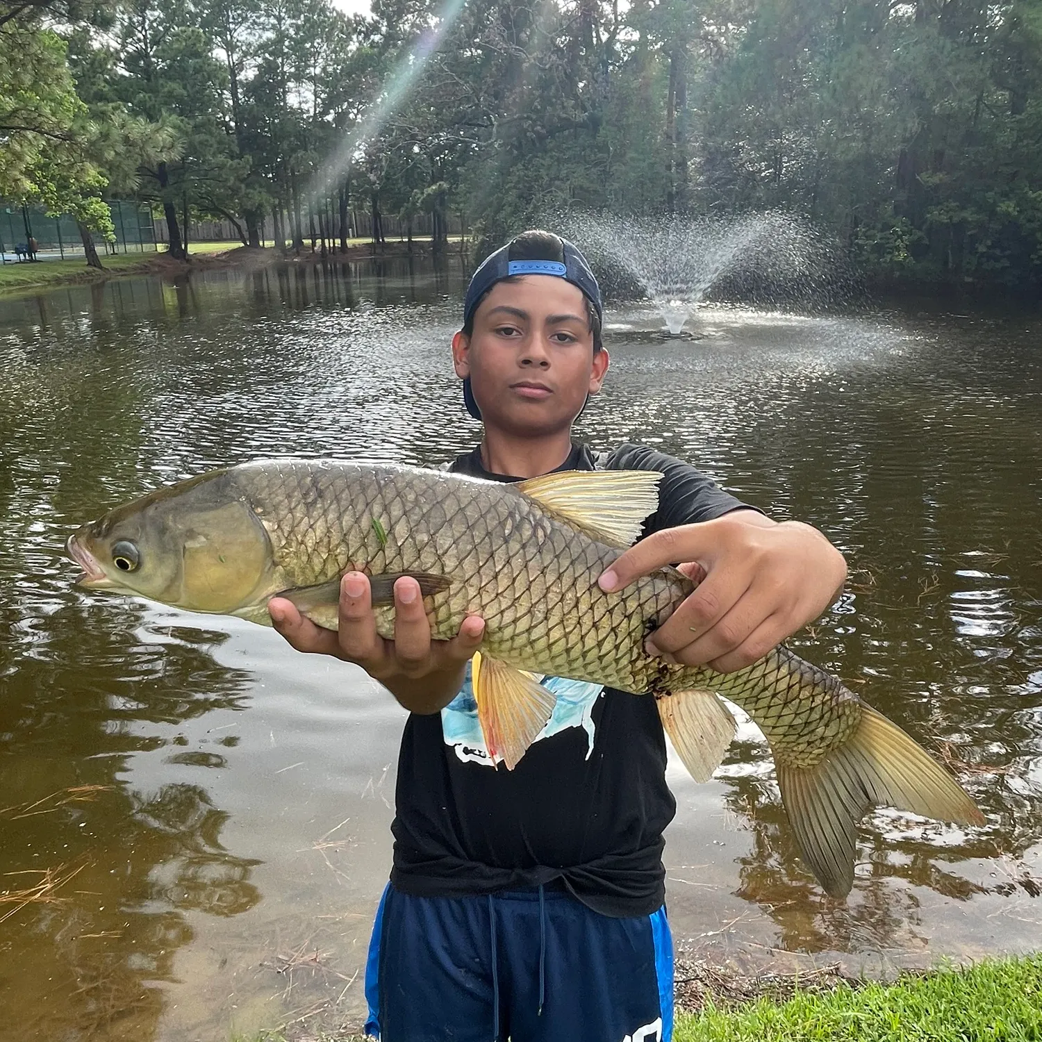 The most recent Grass carp catches on Fishbrain