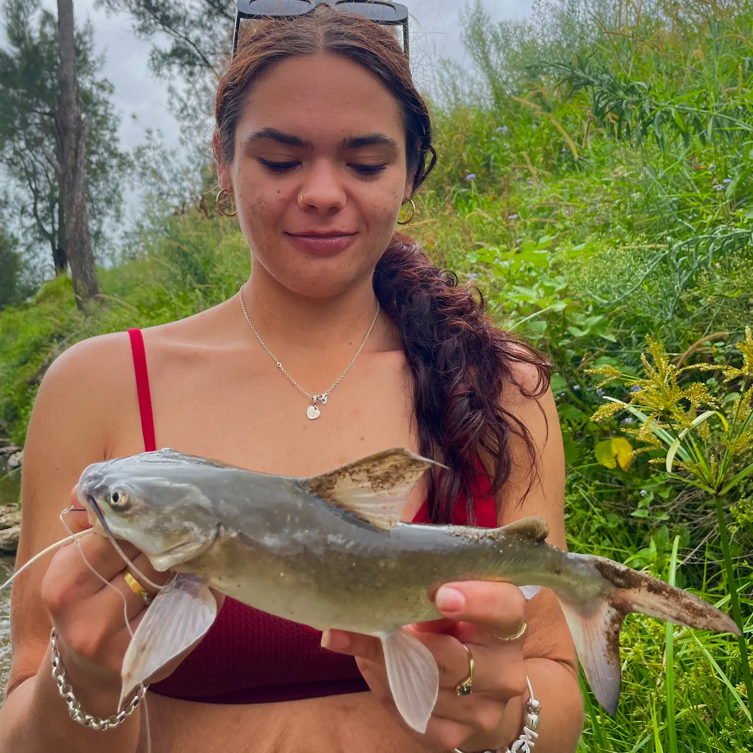 The most recent Blue salmon catfish catches on Fishbrain