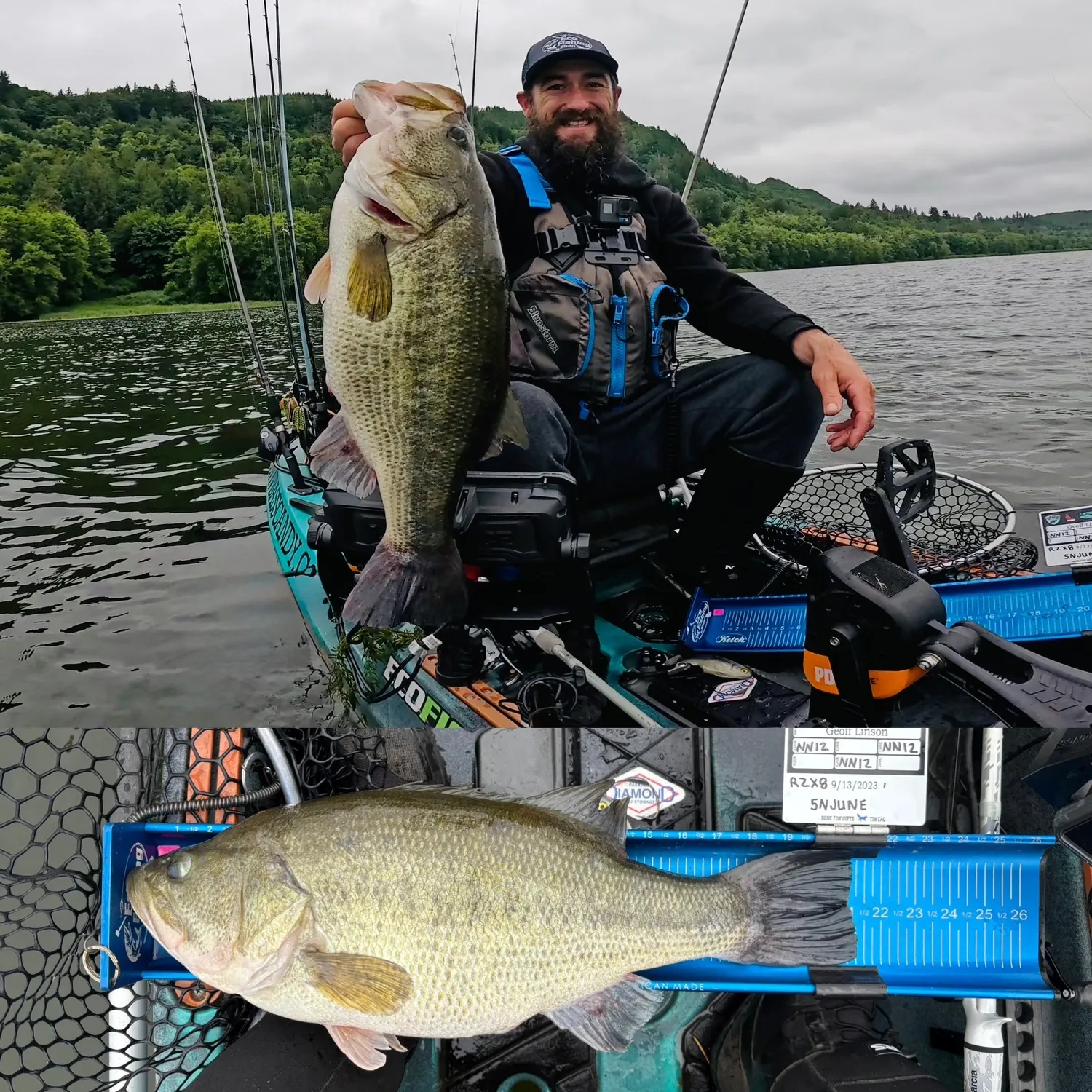 recently logged catches