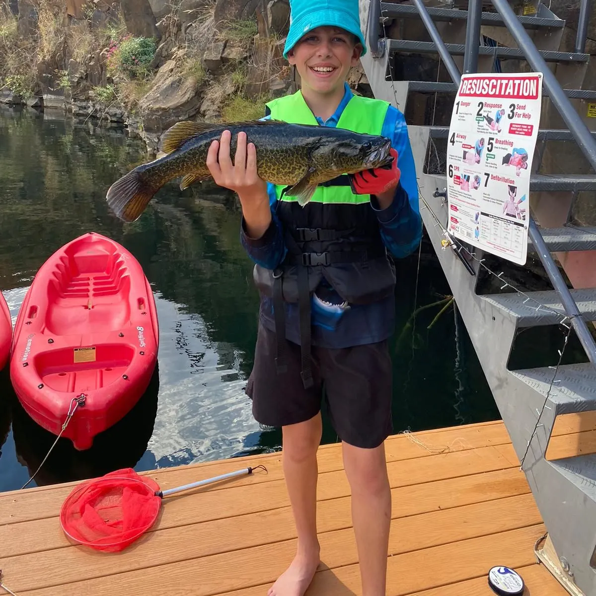 The most recent Murray cod catches on Fishbrain