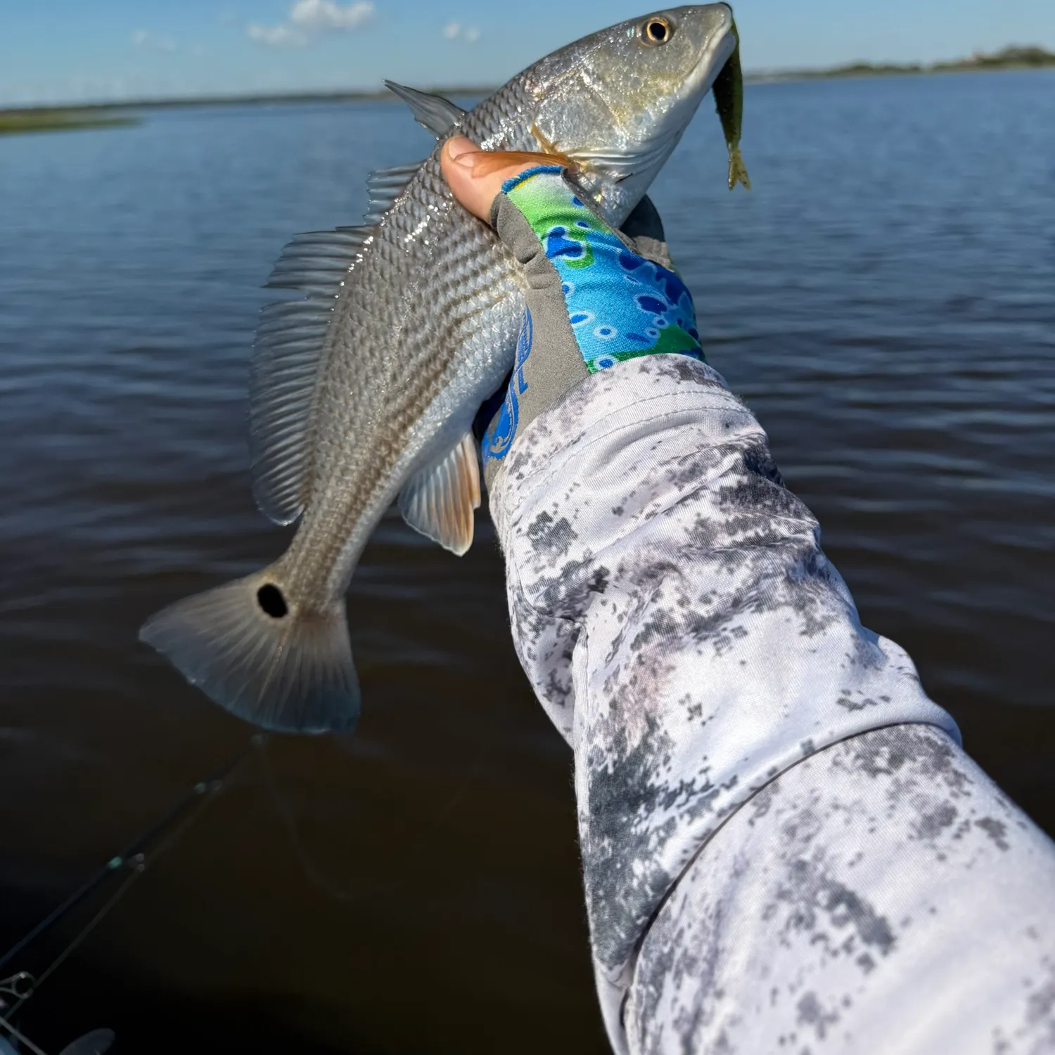 Red drum caught on Fishbrain