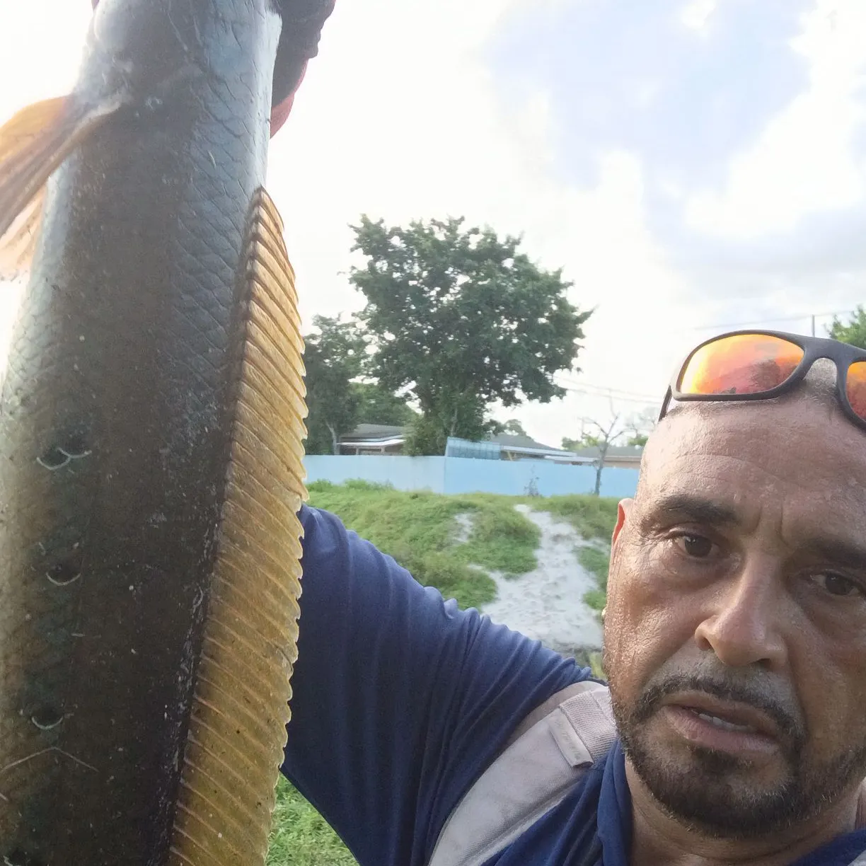 The most recent Common logperch catches on Fishbrain