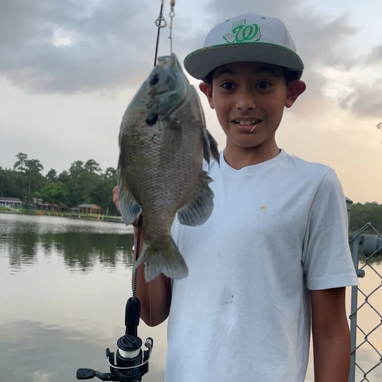 Bluegill caught on Fishbrain